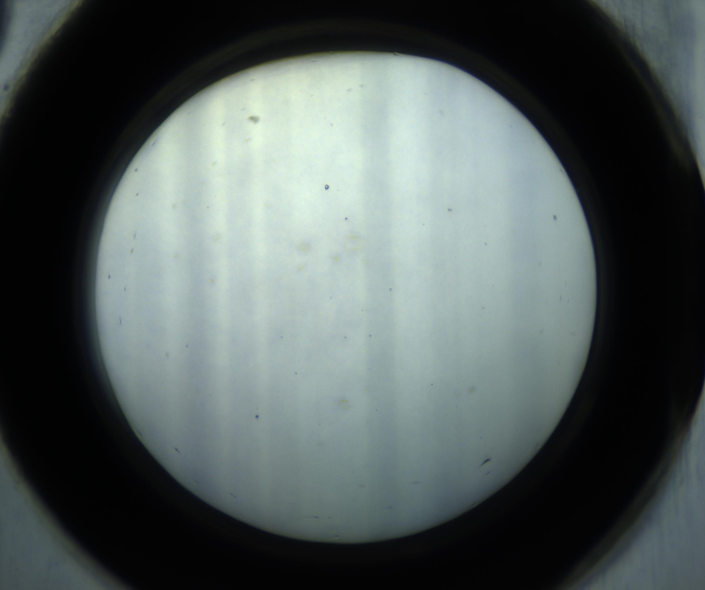 RI01_03_000_0212_Proj1_Clon1_MC_0000MC102869_001_161021_09_08_02_00_98_002_001_RAI.jpg