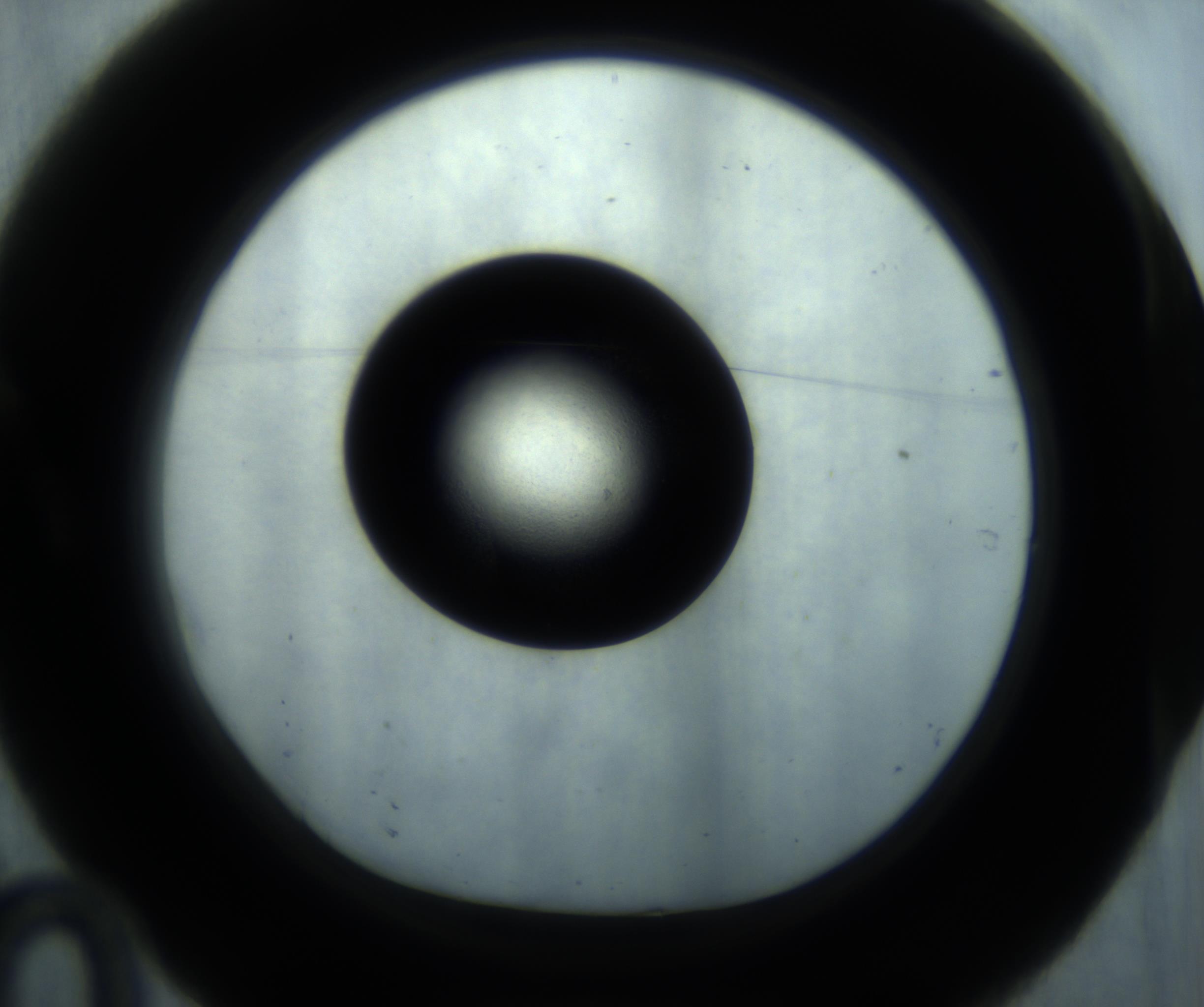 RI01_03_000_0212_Proj1_Clon1_MC_0000MC102869_001_161021_10_01_01_00_98_002_001_RAI.jpg