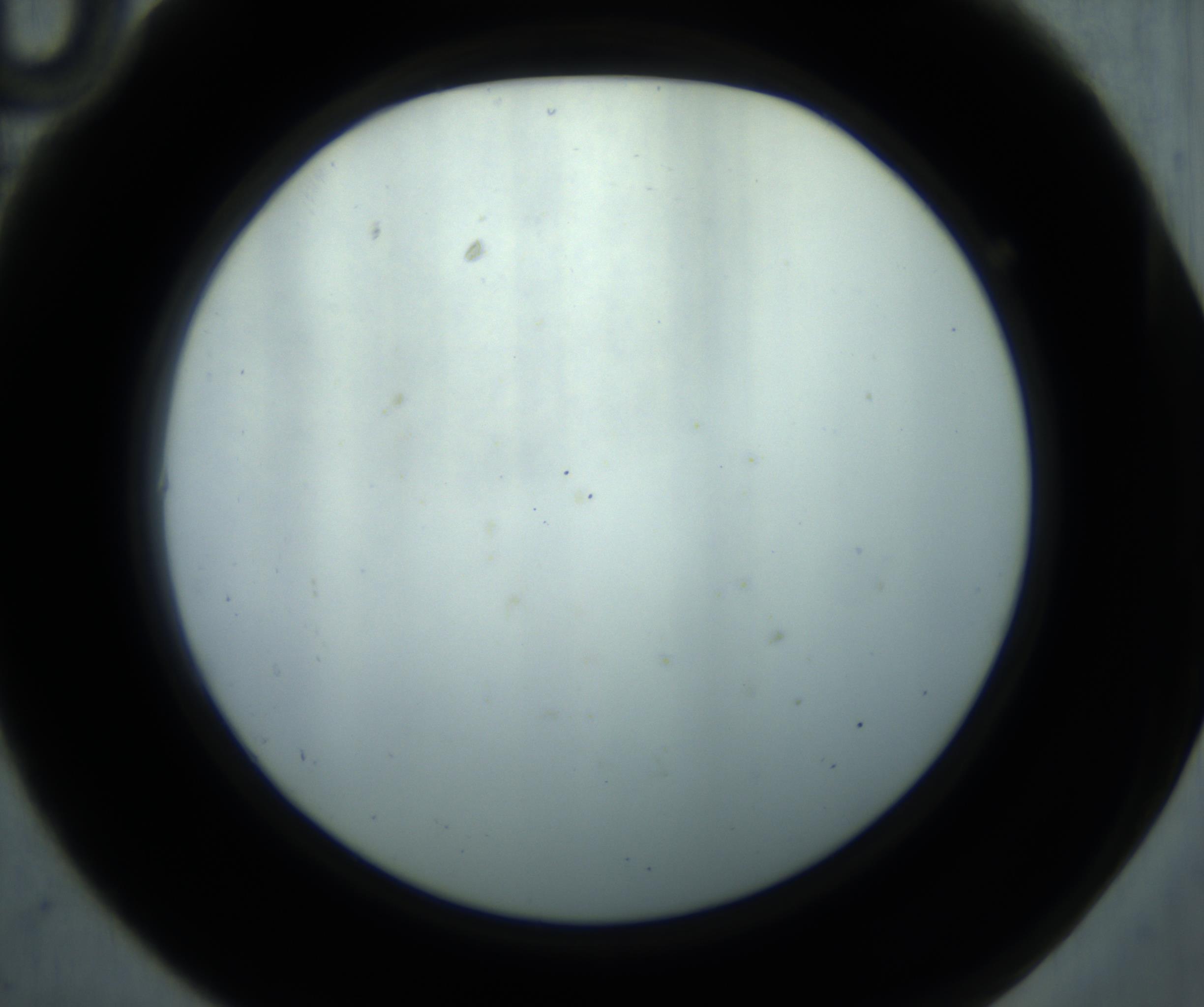 RI01_03_000_0212_Proj1_Clon1_MC_0000MC102869_001_161021_10_01_02_00_98_002_001_RAI.jpg