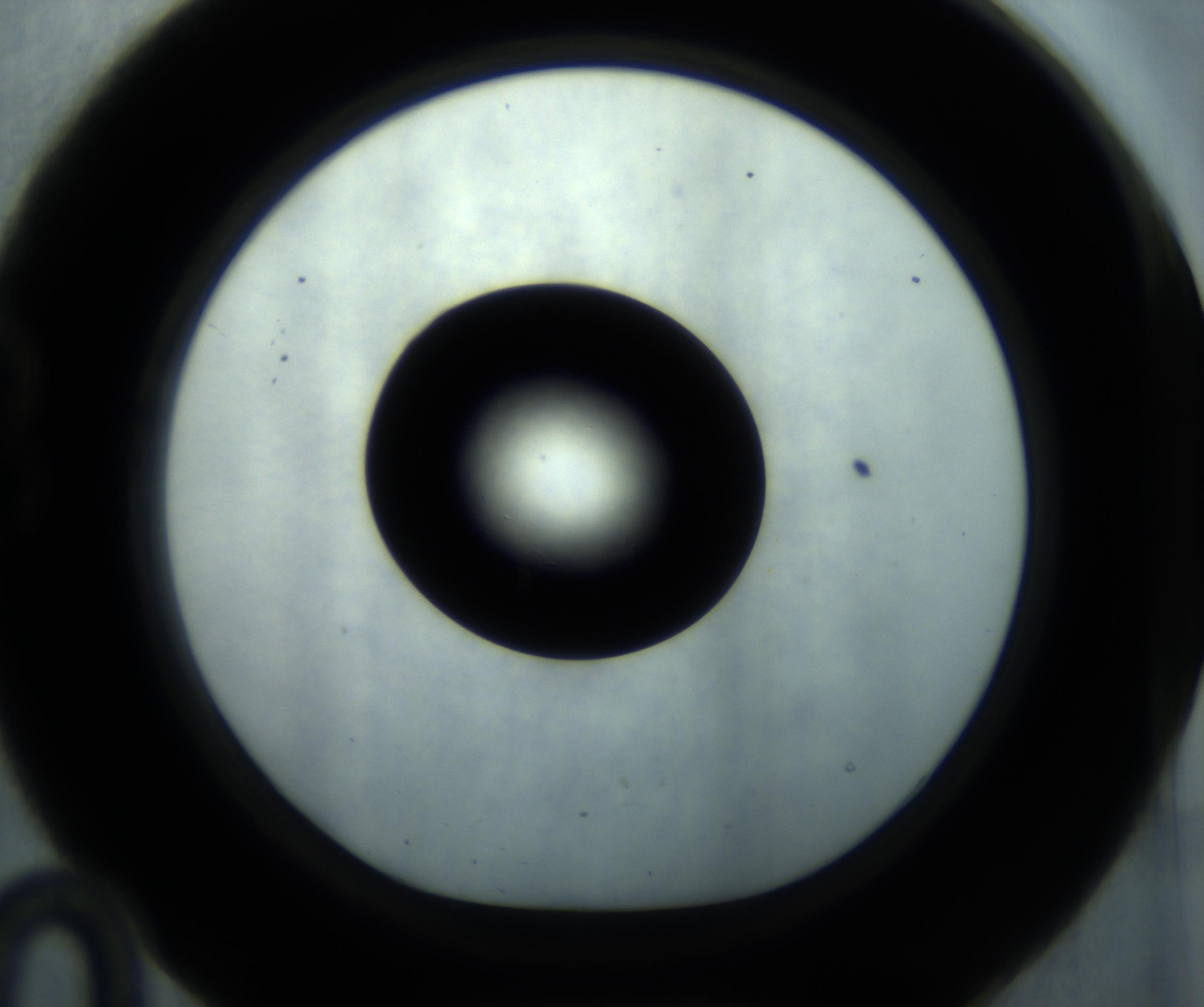 RI01_03_000_0212_Proj1_Clon1_MC_0000MC102869_001_161021_10_02_01_00_98_002_001_RAI.jpg