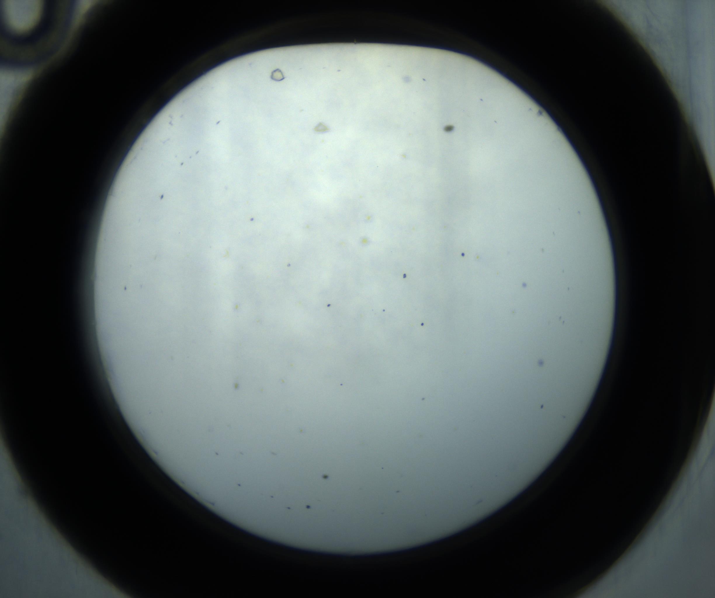 RI01_03_000_0212_Proj1_Clon1_MC_0000MC102869_001_161021_10_03_02_00_98_002_001_RAI.jpg