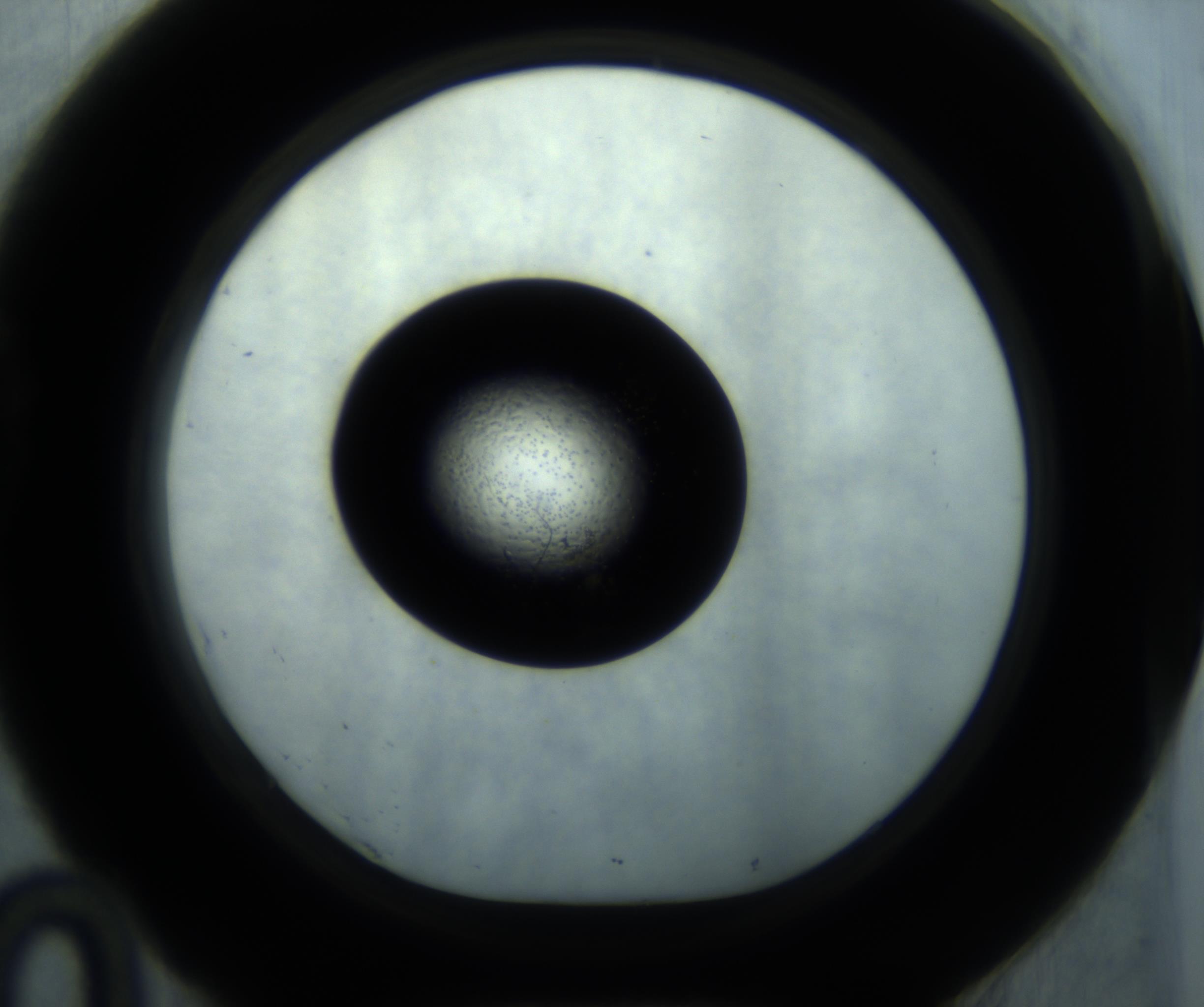 RI01_03_000_0212_Proj1_Clon1_MC_0000MC102869_001_161021_10_04_01_00_98_002_001_RAI.jpg