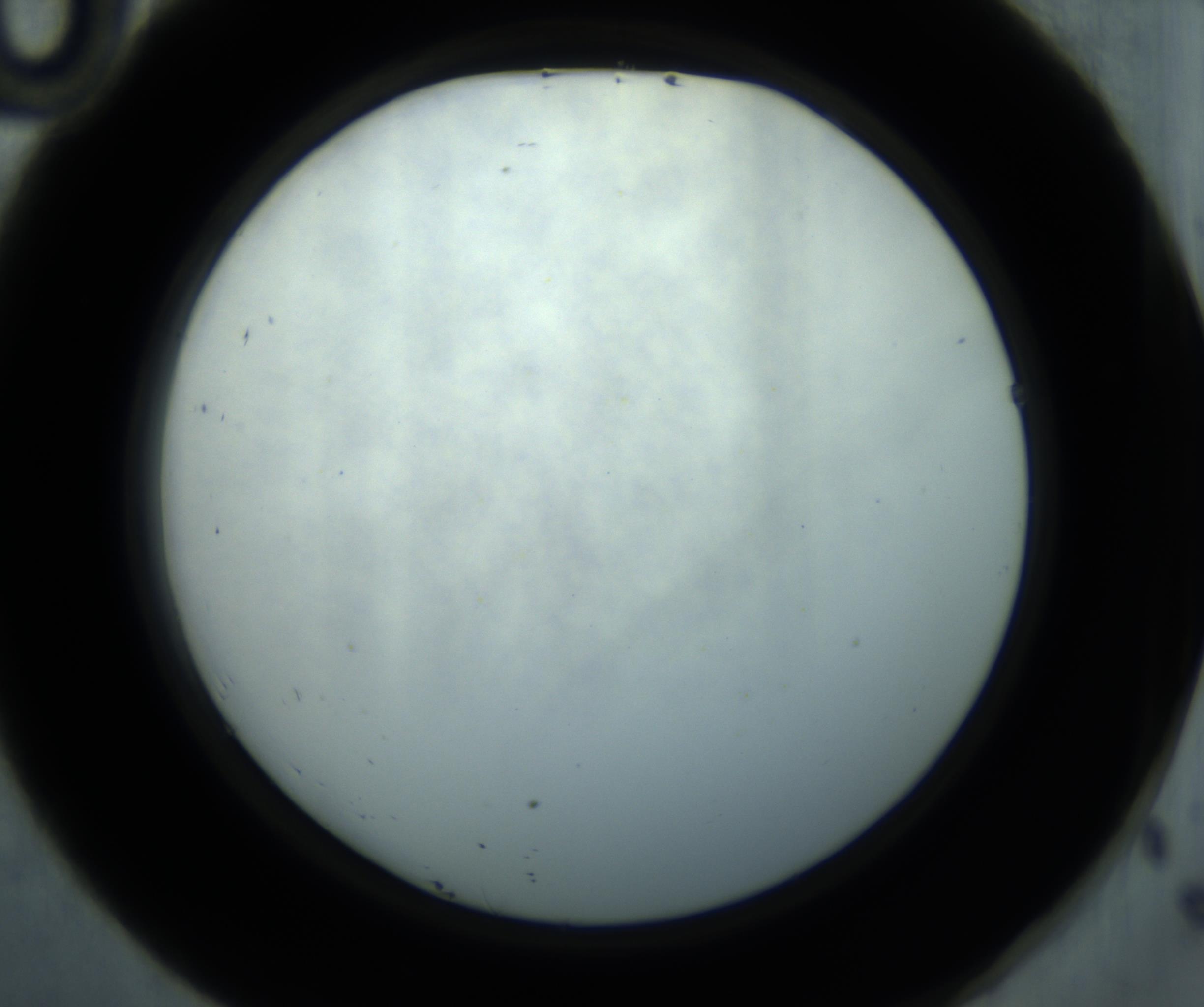 RI01_03_000_0212_Proj1_Clon1_MC_0000MC102869_001_161021_10_04_02_00_98_002_001_RAI.jpg