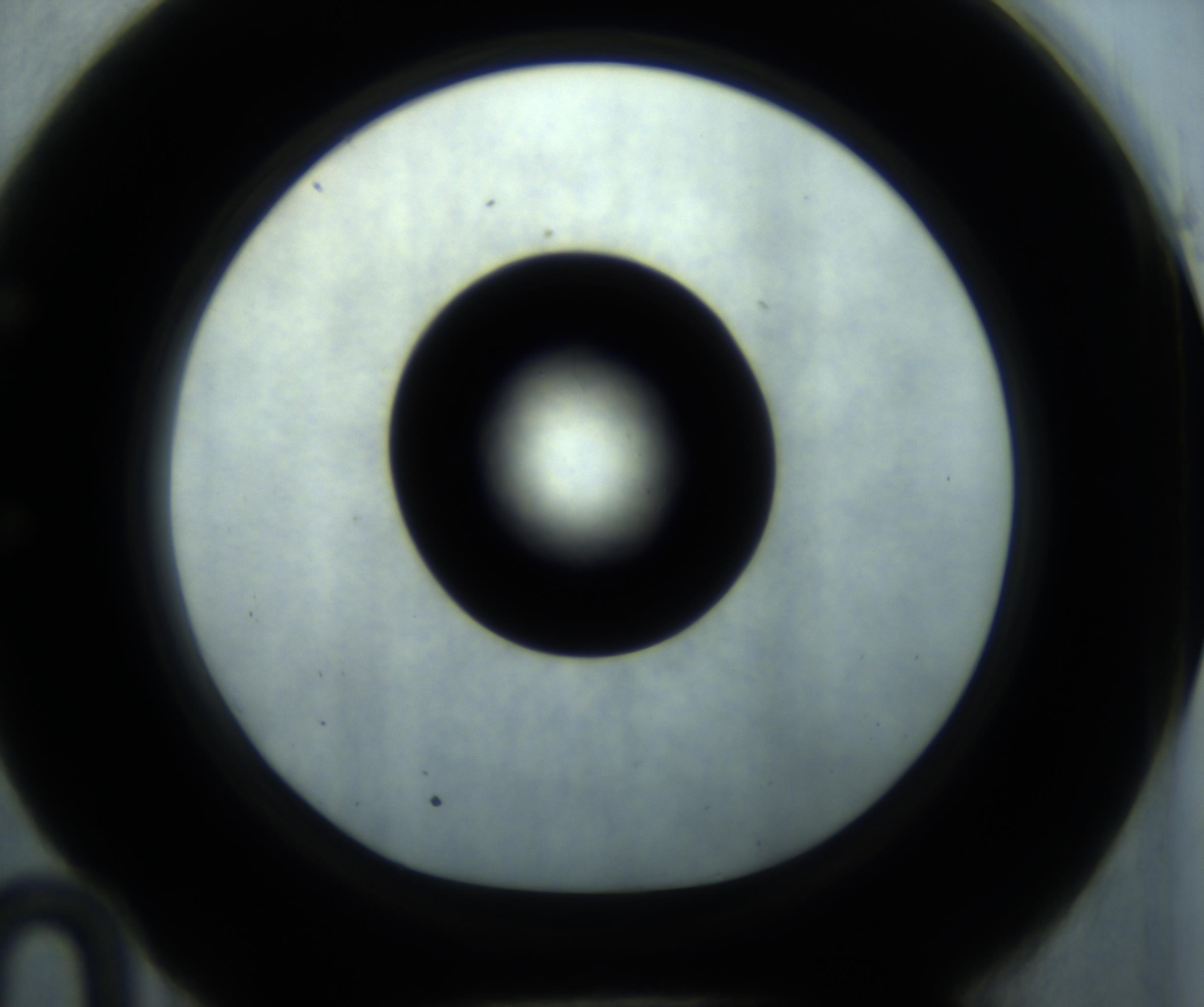 RI01_03_000_0212_Proj1_Clon1_MC_0000MC102869_001_161021_10_05_01_00_98_002_001_RAI.jpg