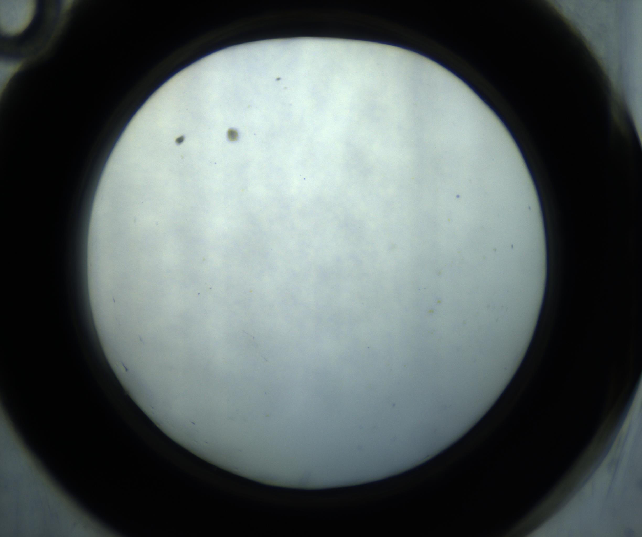 RI01_03_000_0212_Proj1_Clon1_MC_0000MC102869_001_161021_10_05_02_00_98_002_001_RAI.jpg