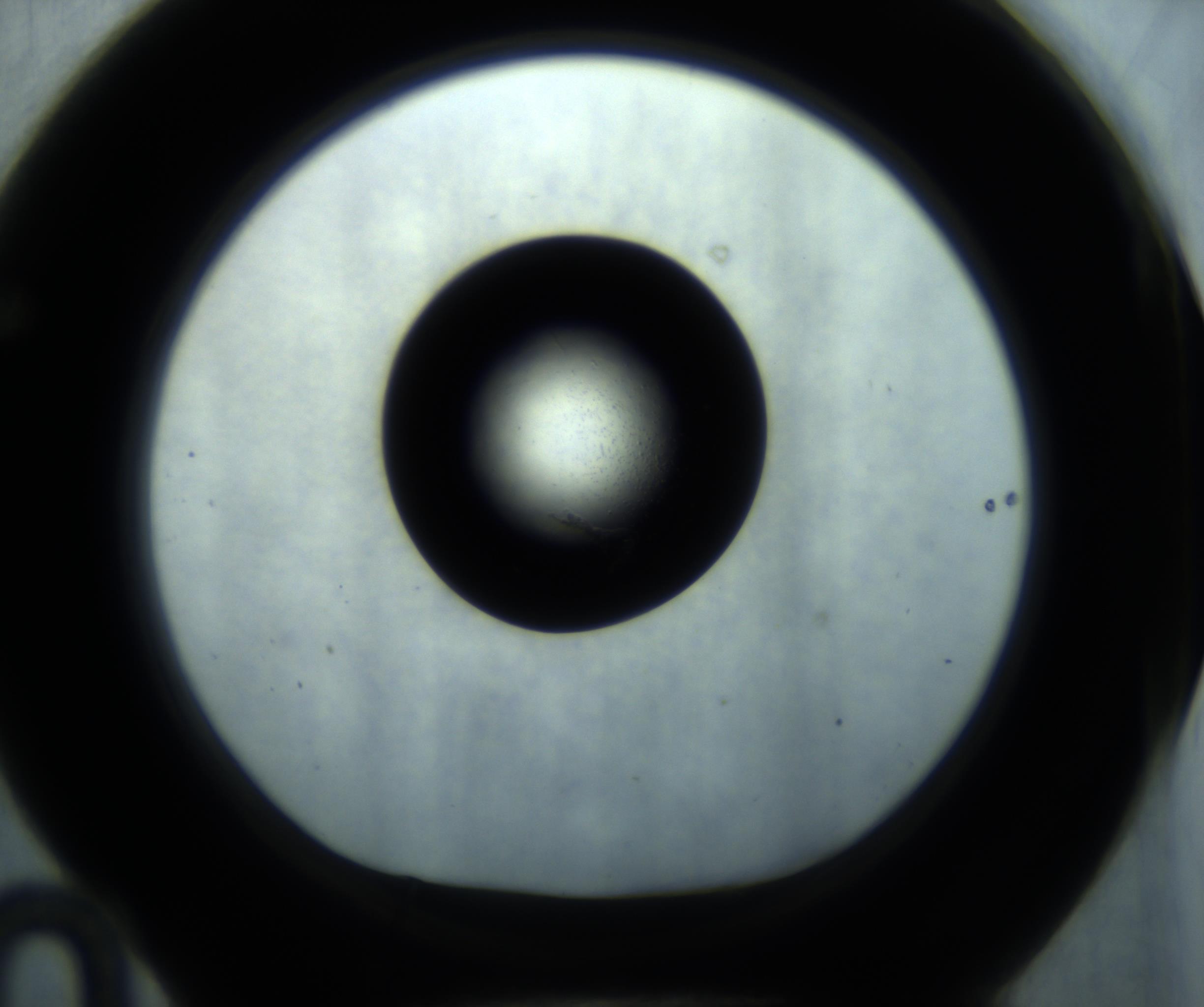 RI01_03_000_0212_Proj1_Clon1_MC_0000MC102869_001_161021_10_06_01_00_98_002_001_RAI.jpg