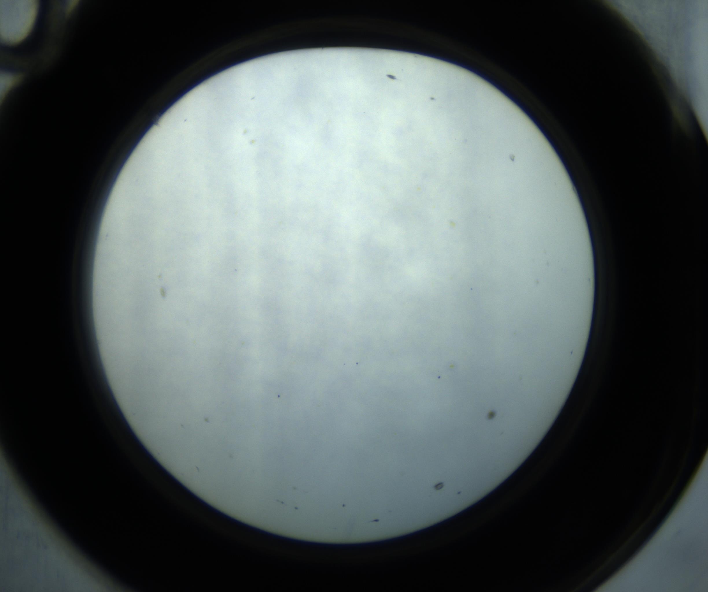 RI01_03_000_0212_Proj1_Clon1_MC_0000MC102869_001_161021_10_06_02_00_98_002_001_RAI.jpg