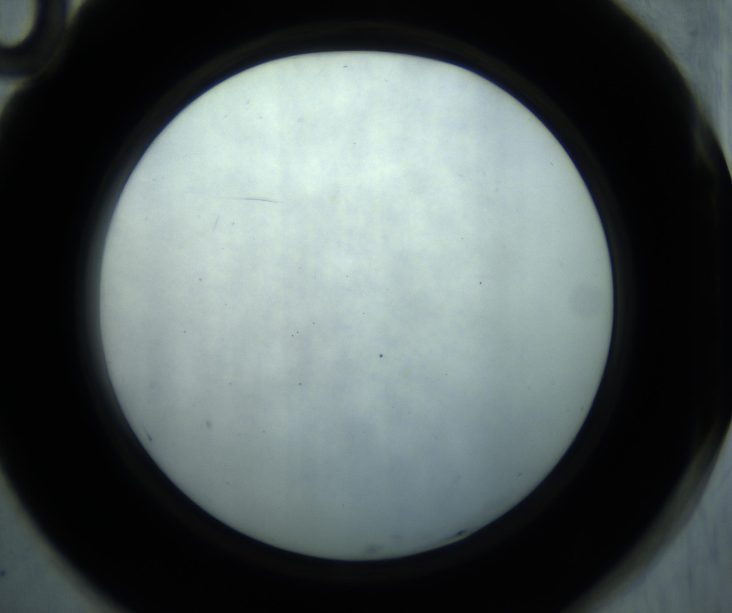 RI01_03_000_0212_Proj1_Clon1_MC_0000MC102869_001_161021_10_07_02_00_98_002_001_RAI.jpg