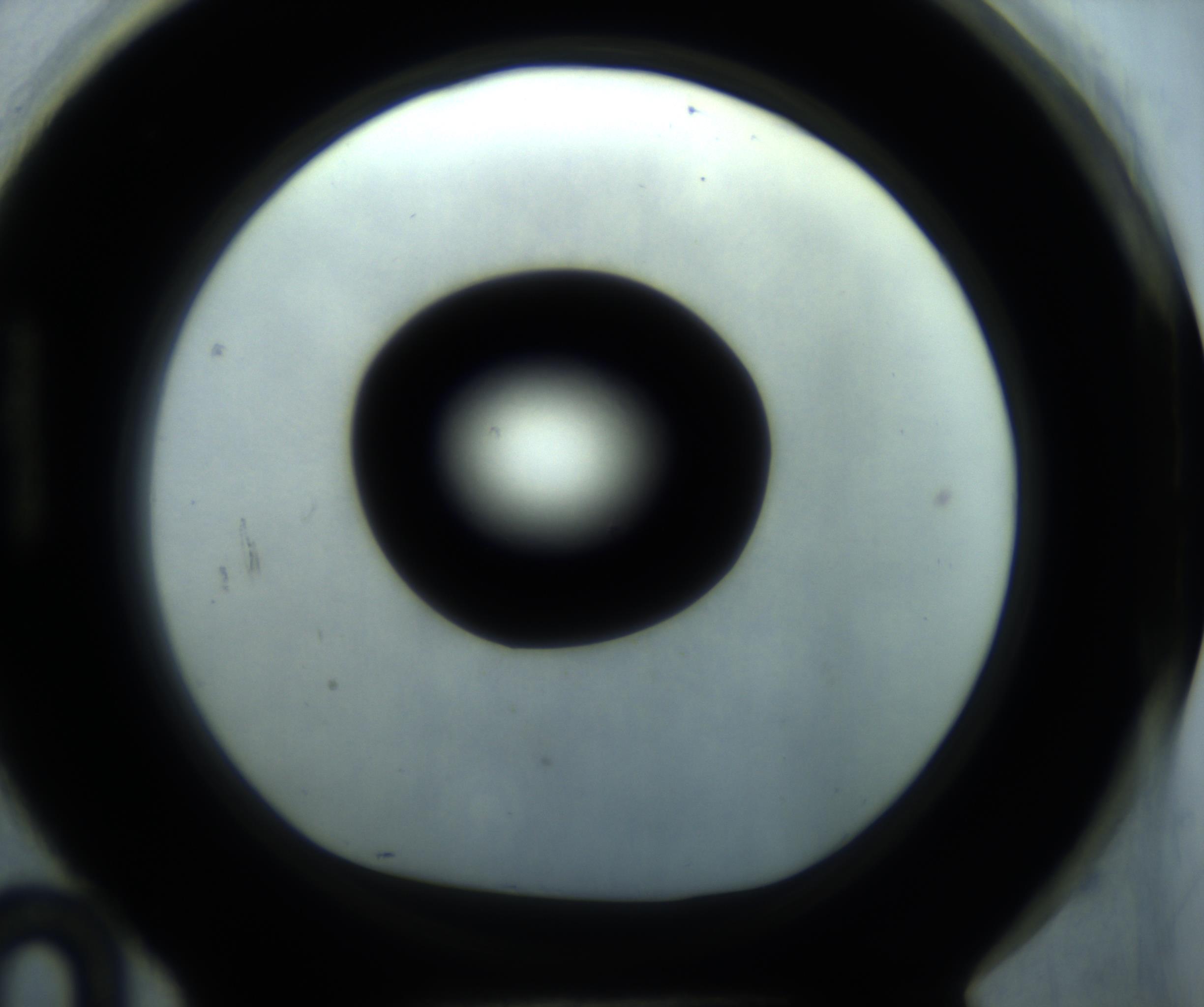 RI01_03_000_0212_Proj1_Clon1_MC_0000MC102869_001_161021_10_08_01_00_98_002_001_RAI.jpg