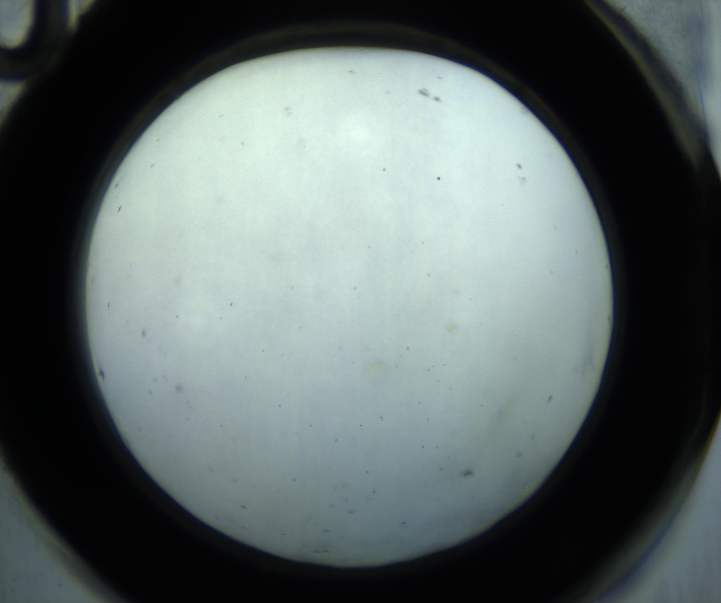 RI01_03_000_0212_Proj1_Clon1_MC_0000MC102869_001_161021_10_08_02_00_98_002_001_RAI.jpg