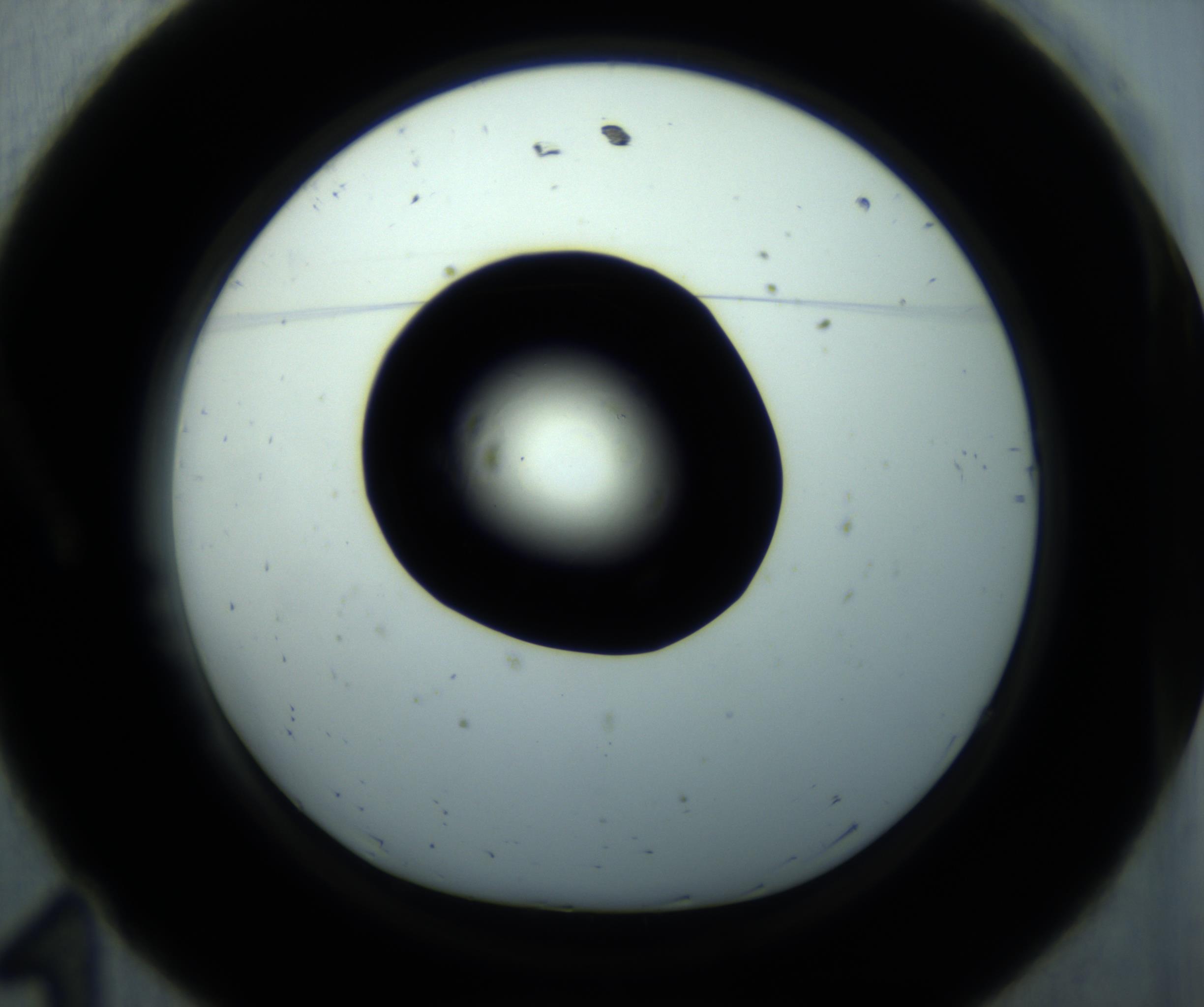 RI01_03_000_0212_Proj1_Clon1_MC_0000MC102869_001_161021_11_01_01_00_98_002_001_RAI.jpg