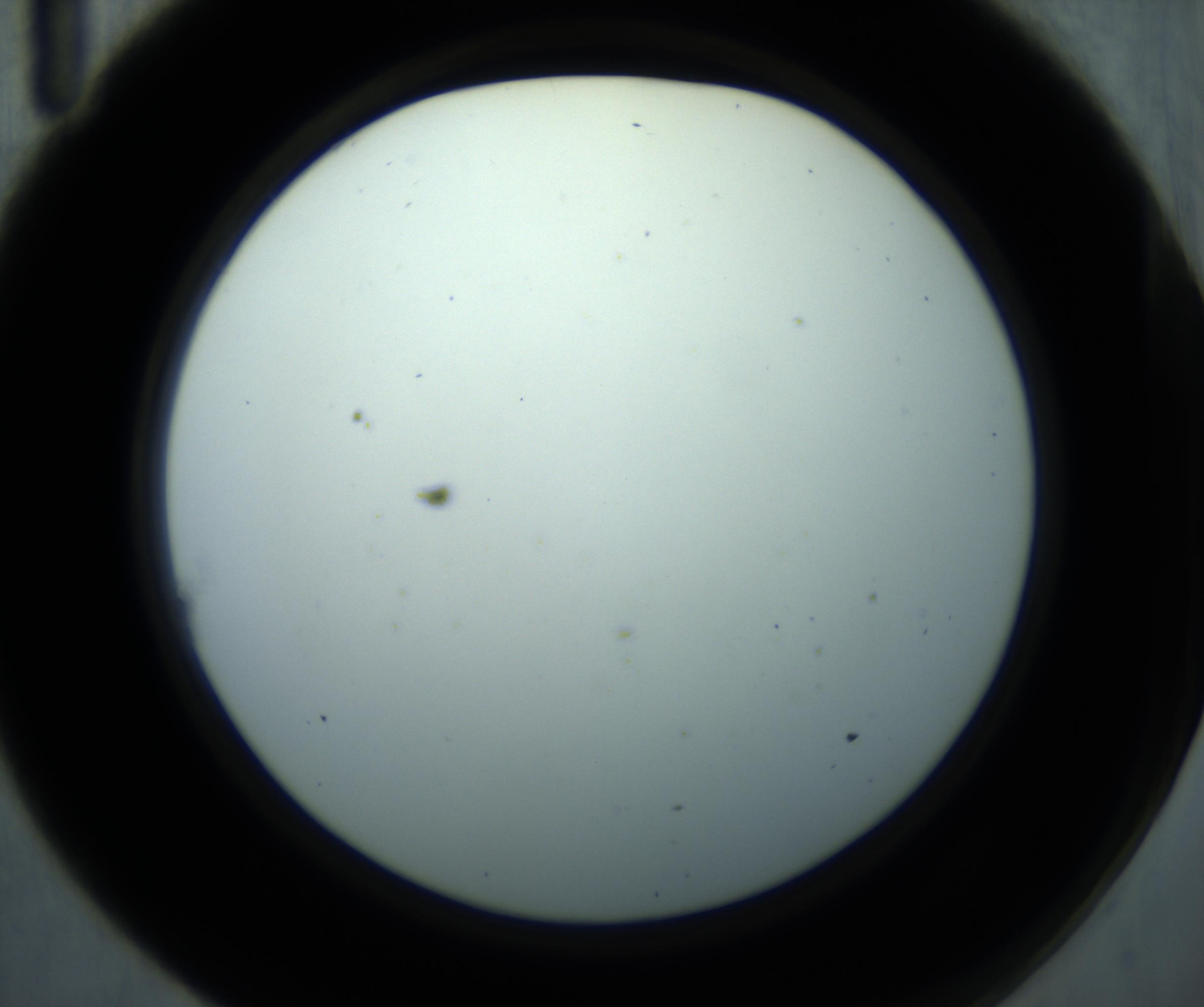 RI01_03_000_0212_Proj1_Clon1_MC_0000MC102869_001_161021_11_01_02_00_98_002_001_RAI.jpg