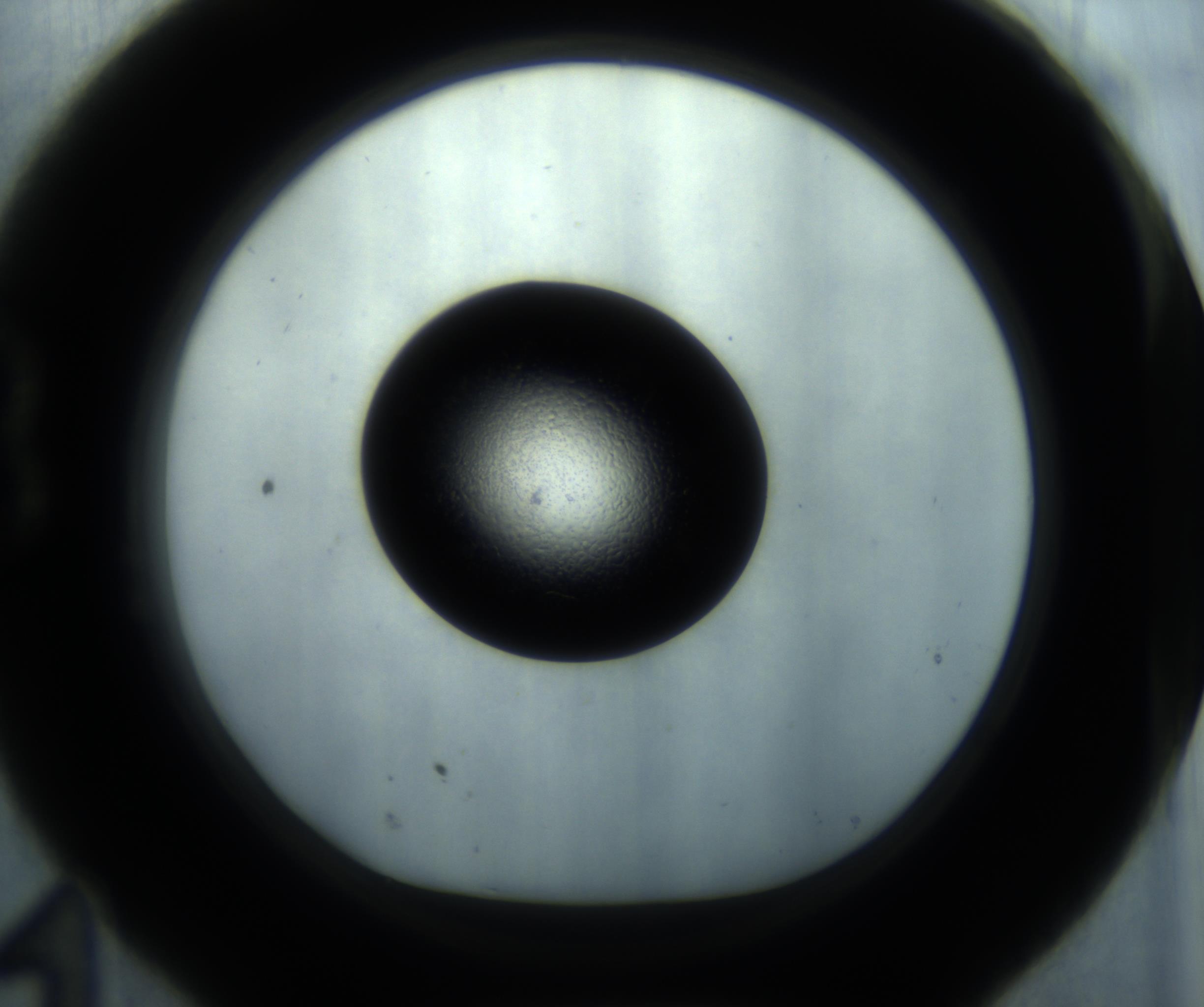 RI01_03_000_0212_Proj1_Clon1_MC_0000MC102869_001_161021_11_02_01_00_98_002_001_RAI.jpg