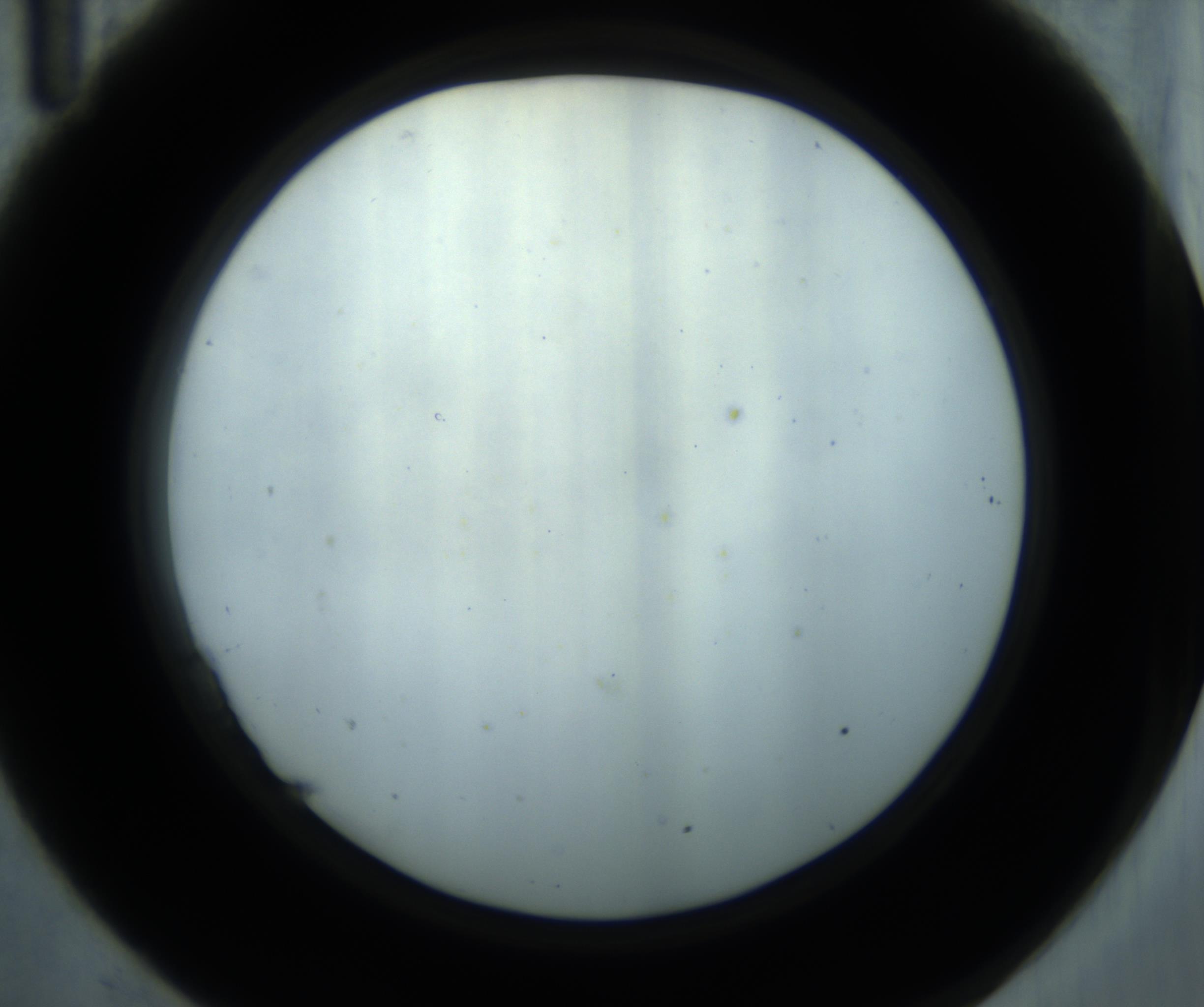 RI01_03_000_0212_Proj1_Clon1_MC_0000MC102869_001_161021_11_02_02_00_98_002_001_RAI.jpg