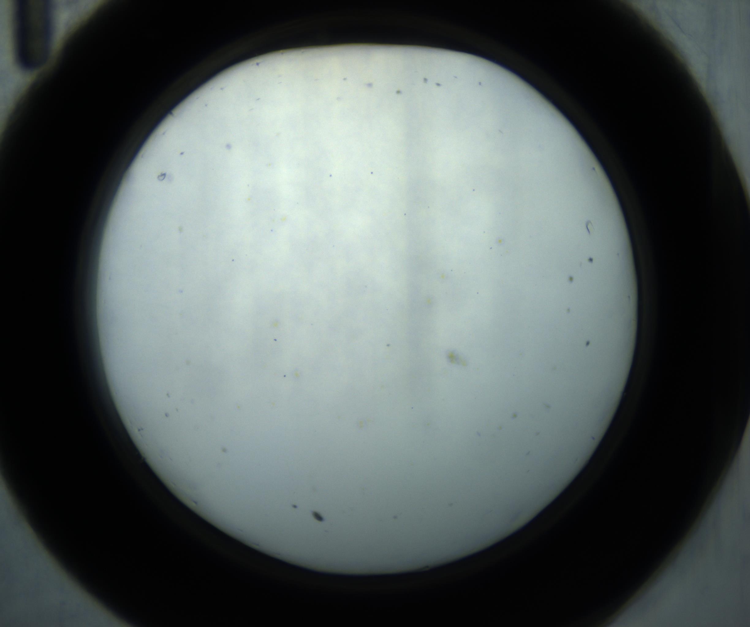 RI01_03_000_0212_Proj1_Clon1_MC_0000MC102869_001_161021_11_03_02_00_98_002_001_RAI.jpg
