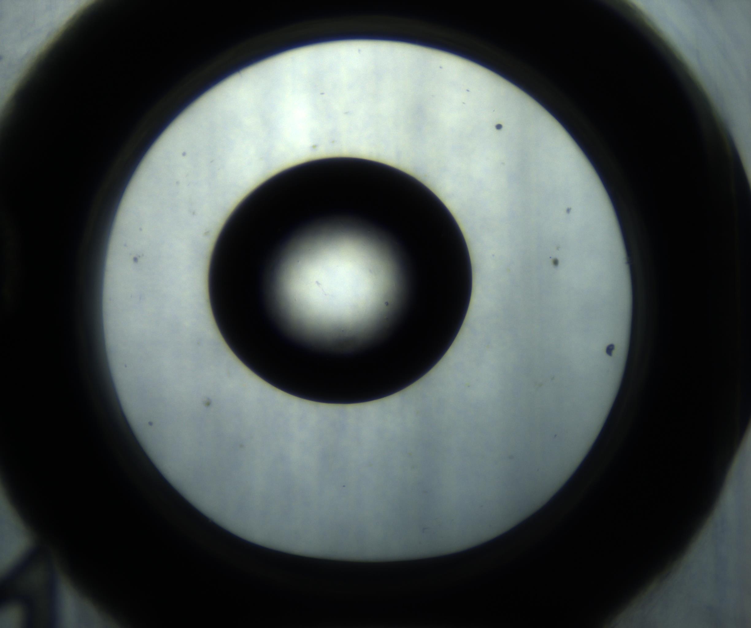 RI01_03_000_0212_Proj1_Clon1_MC_0000MC102869_001_161021_11_04_01_00_98_002_001_RAI.jpg