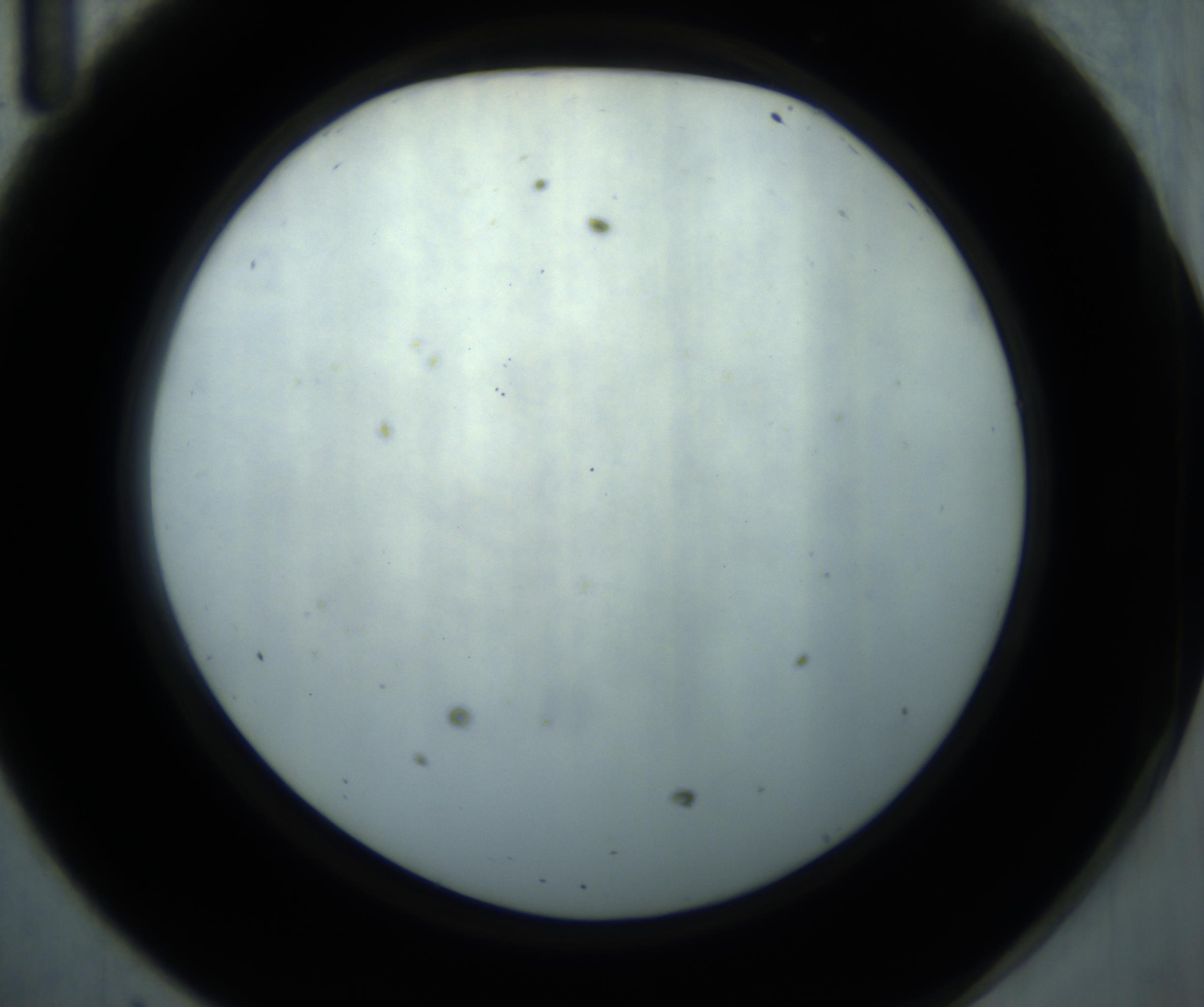 RI01_03_000_0212_Proj1_Clon1_MC_0000MC102869_001_161021_11_04_02_00_98_002_001_RAI.jpg