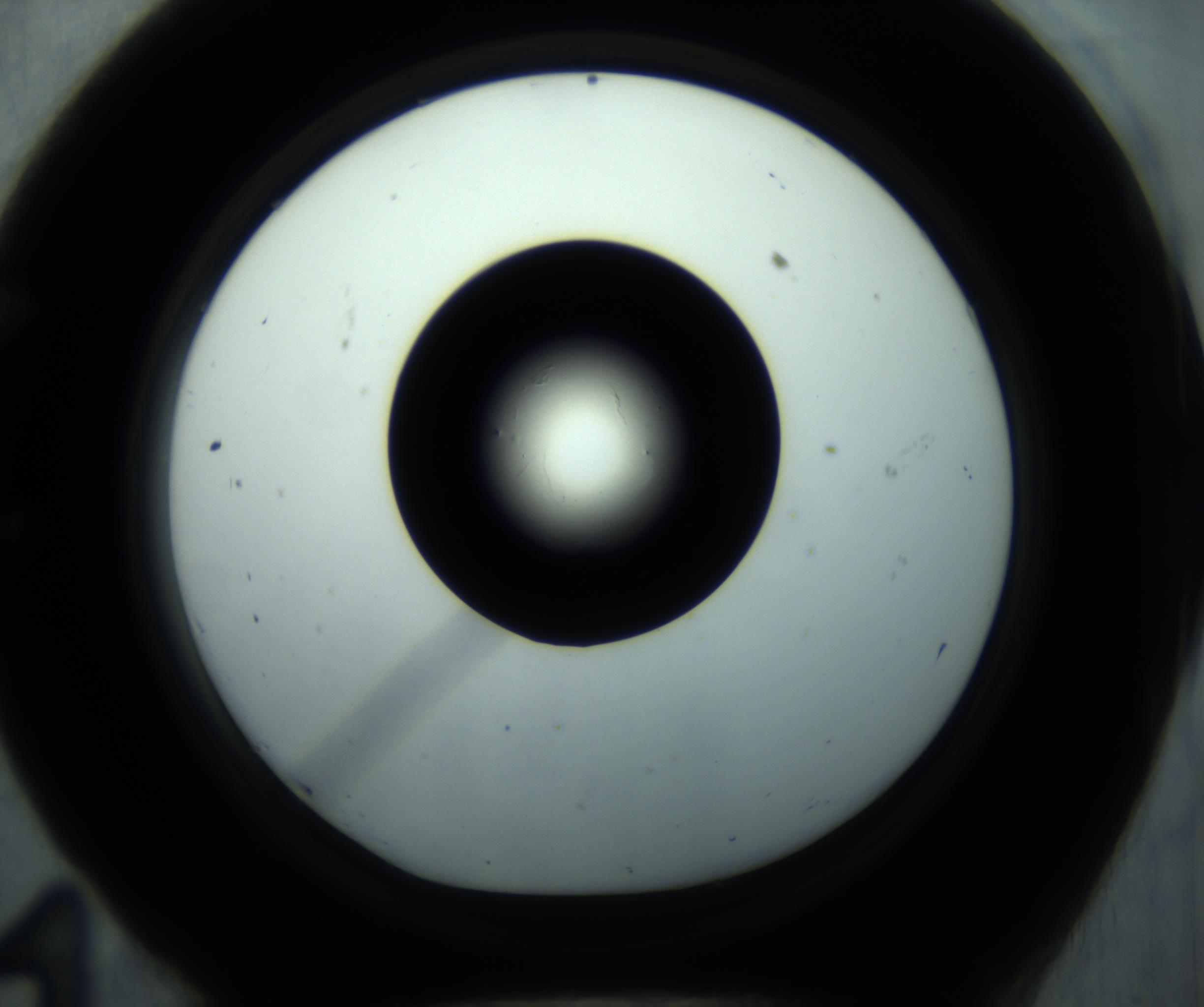 RI01_03_000_0212_Proj1_Clon1_MC_0000MC102869_001_161021_11_05_01_00_98_002_001_RAI.jpg