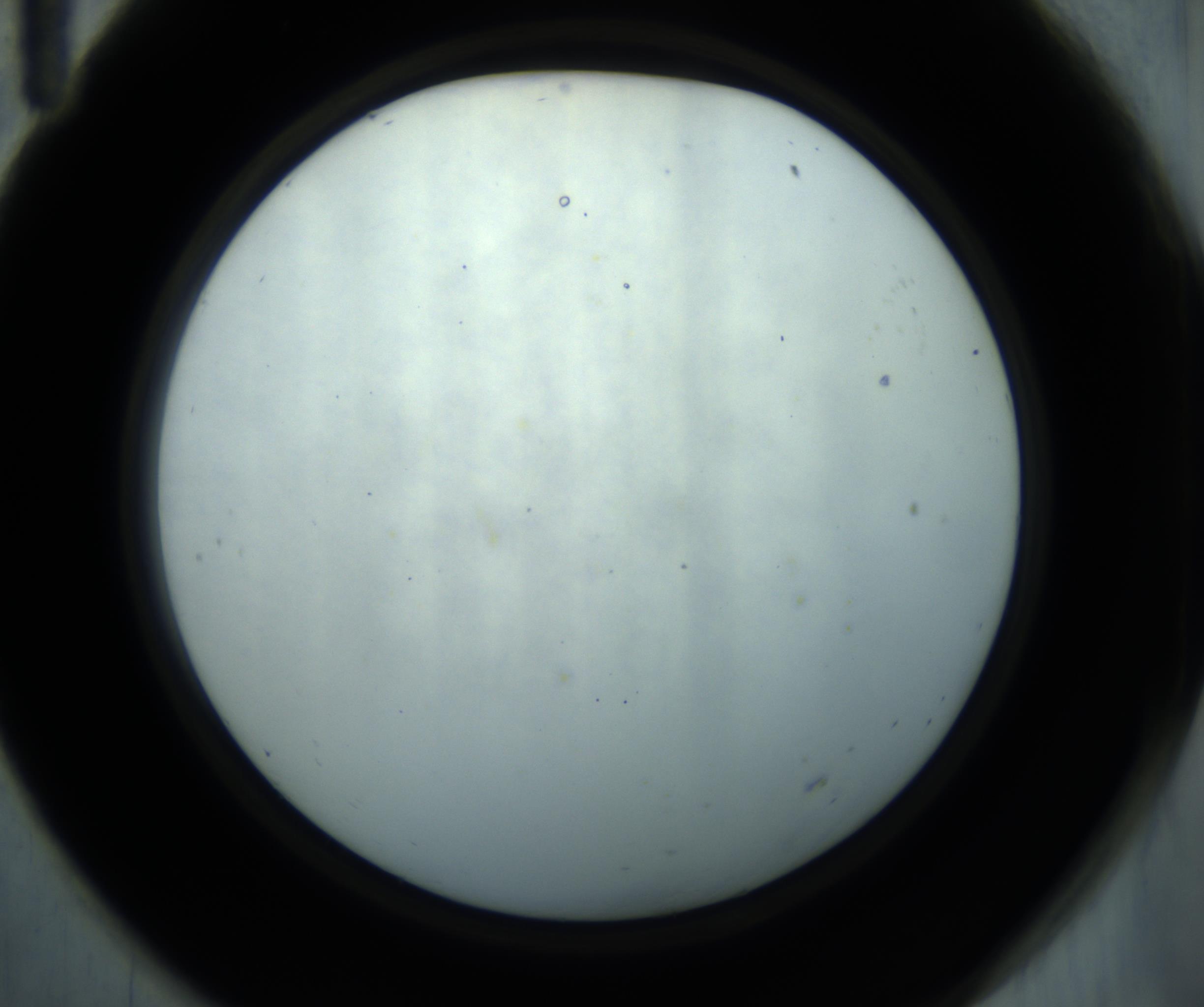 RI01_03_000_0212_Proj1_Clon1_MC_0000MC102869_001_161021_11_05_02_00_98_002_001_RAI.jpg