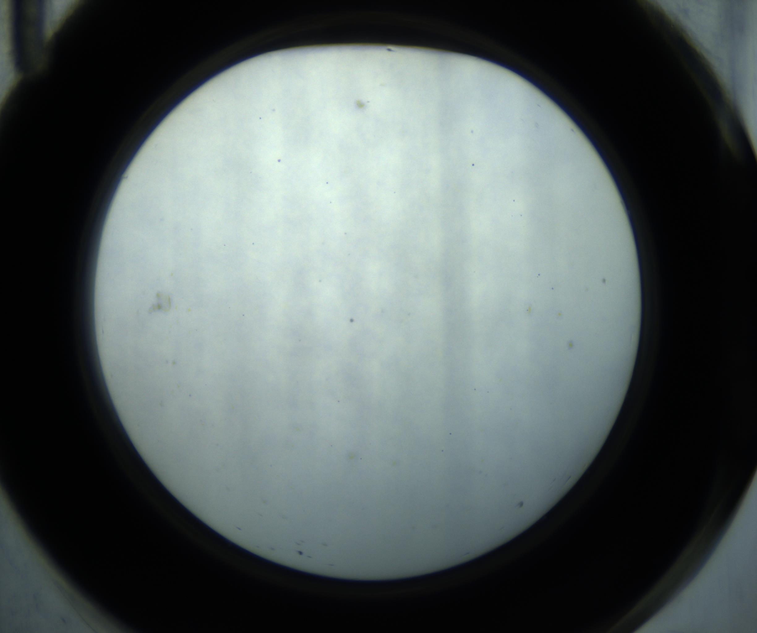 RI01_03_000_0212_Proj1_Clon1_MC_0000MC102869_001_161021_11_06_02_00_98_002_001_RAI.jpg