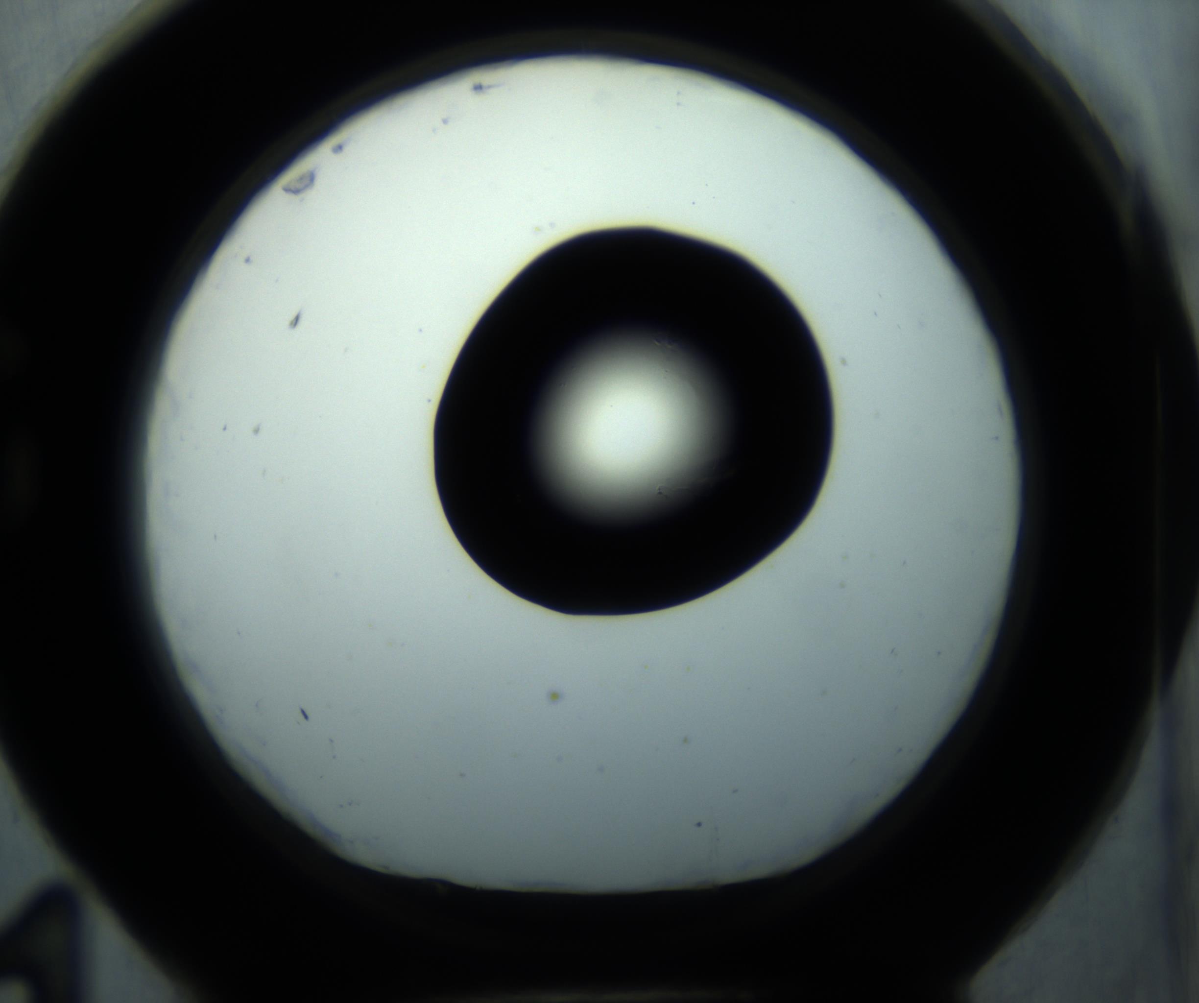 RI01_03_000_0212_Proj1_Clon1_MC_0000MC102869_001_161021_11_07_01_00_98_002_001_RAI.jpg