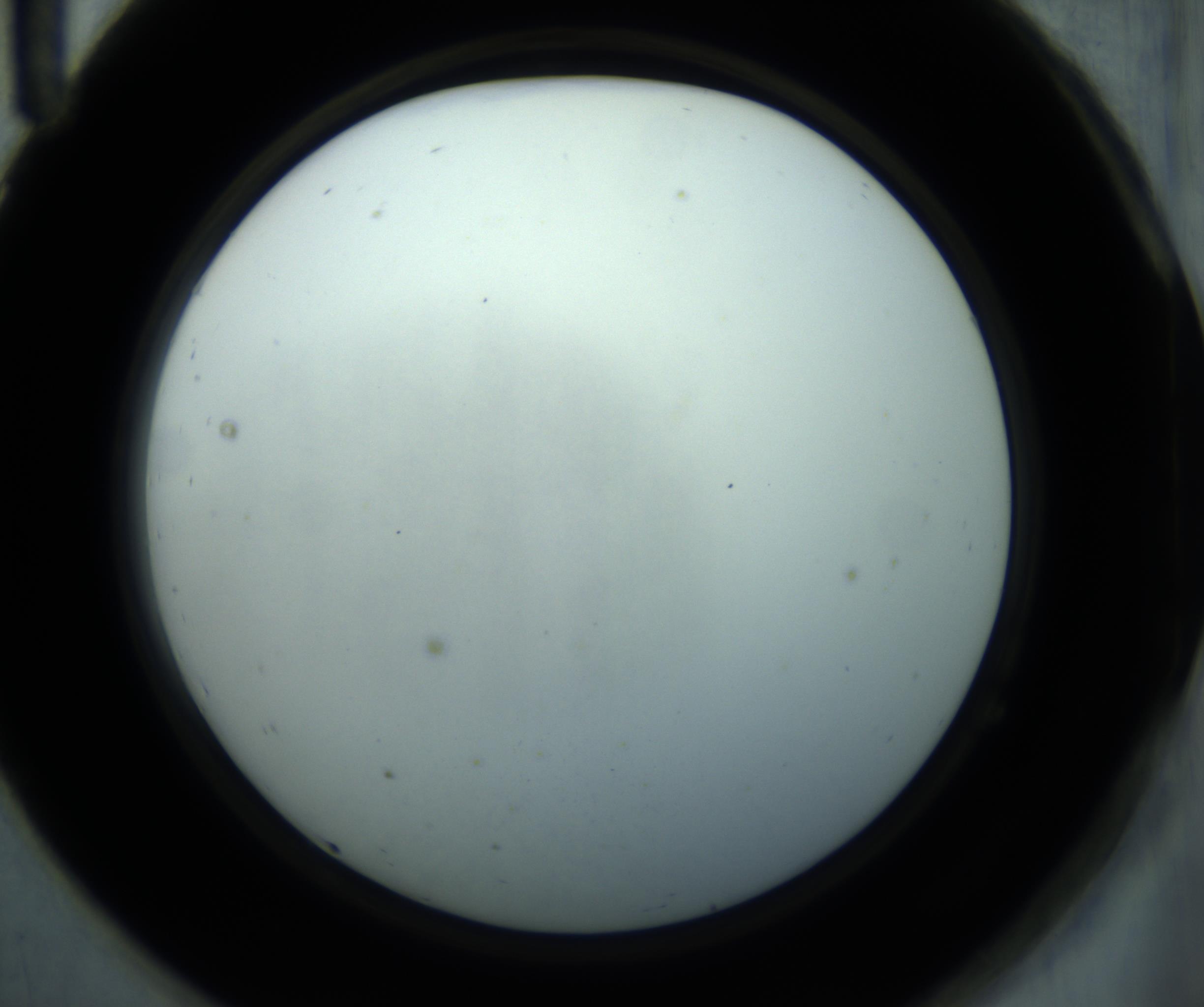 RI01_03_000_0212_Proj1_Clon1_MC_0000MC102869_001_161021_11_07_02_00_98_002_001_RAI.jpg