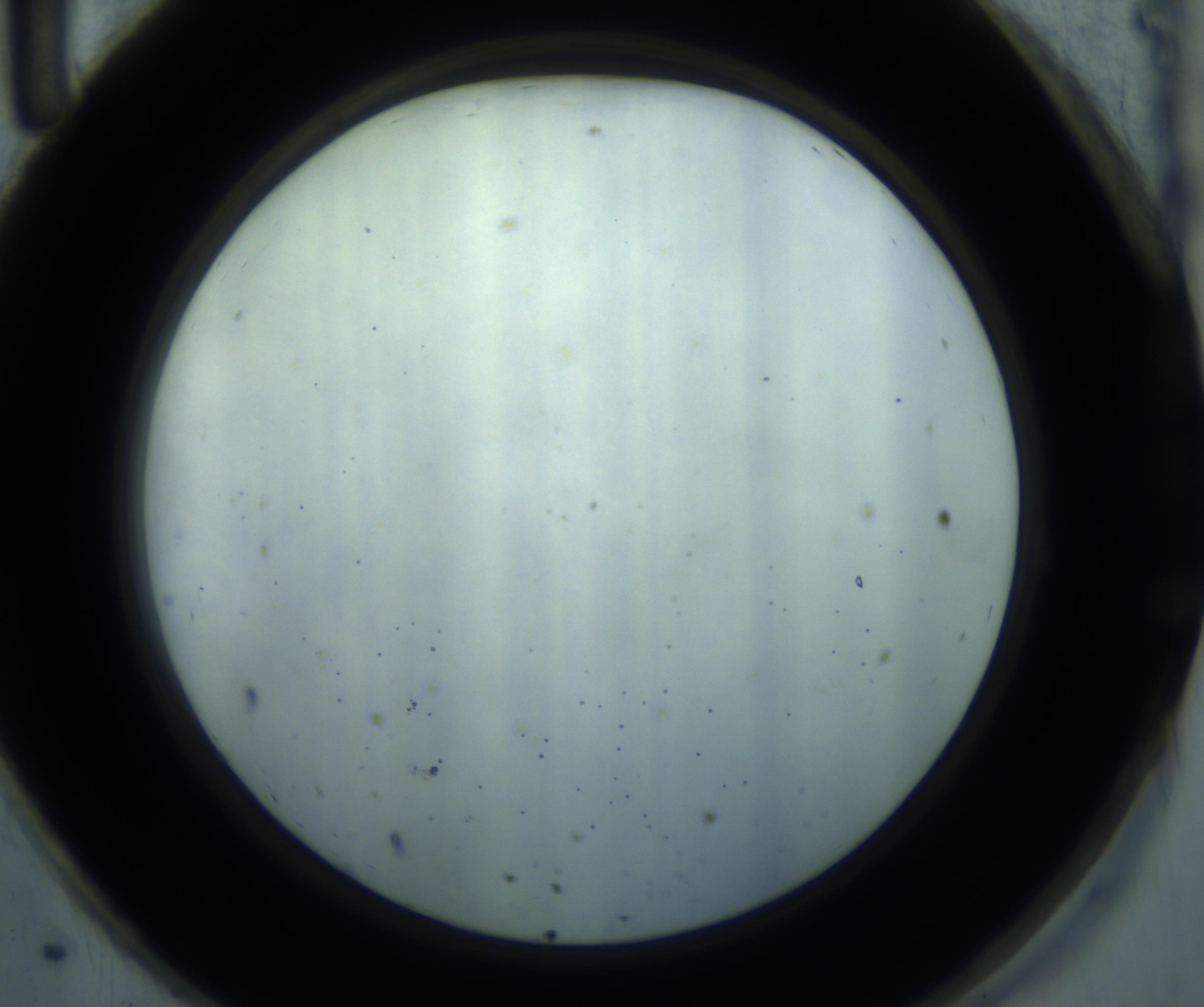 RI01_03_000_0212_Proj1_Clon1_MC_0000MC102869_001_161021_11_08_02_00_98_002_001_RAI.jpg