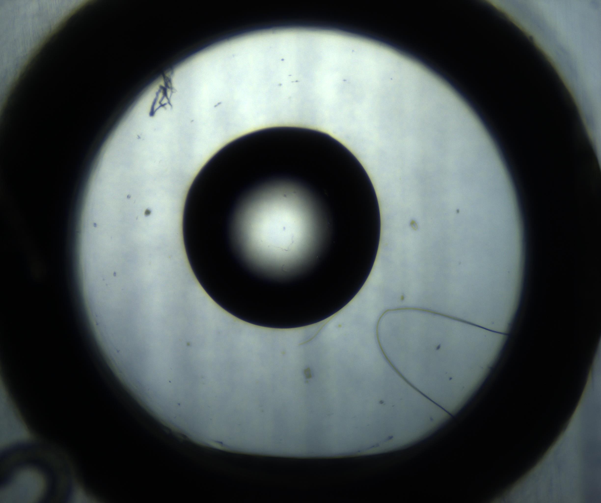 RI01_03_000_0212_Proj1_Clon1_MC_0000MC102869_001_161021_12_01_01_00_98_002_001_RAI.jpg