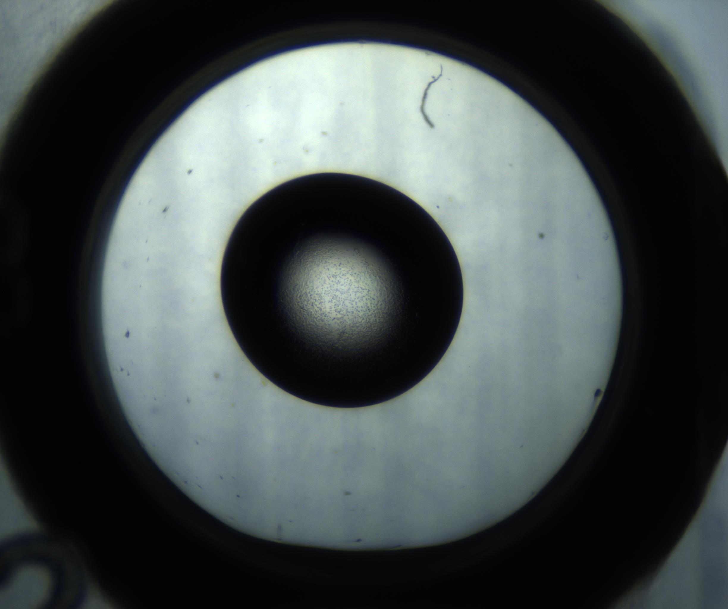 RI01_03_000_0212_Proj1_Clon1_MC_0000MC102869_001_161021_12_02_01_00_98_002_001_RAI.jpg
