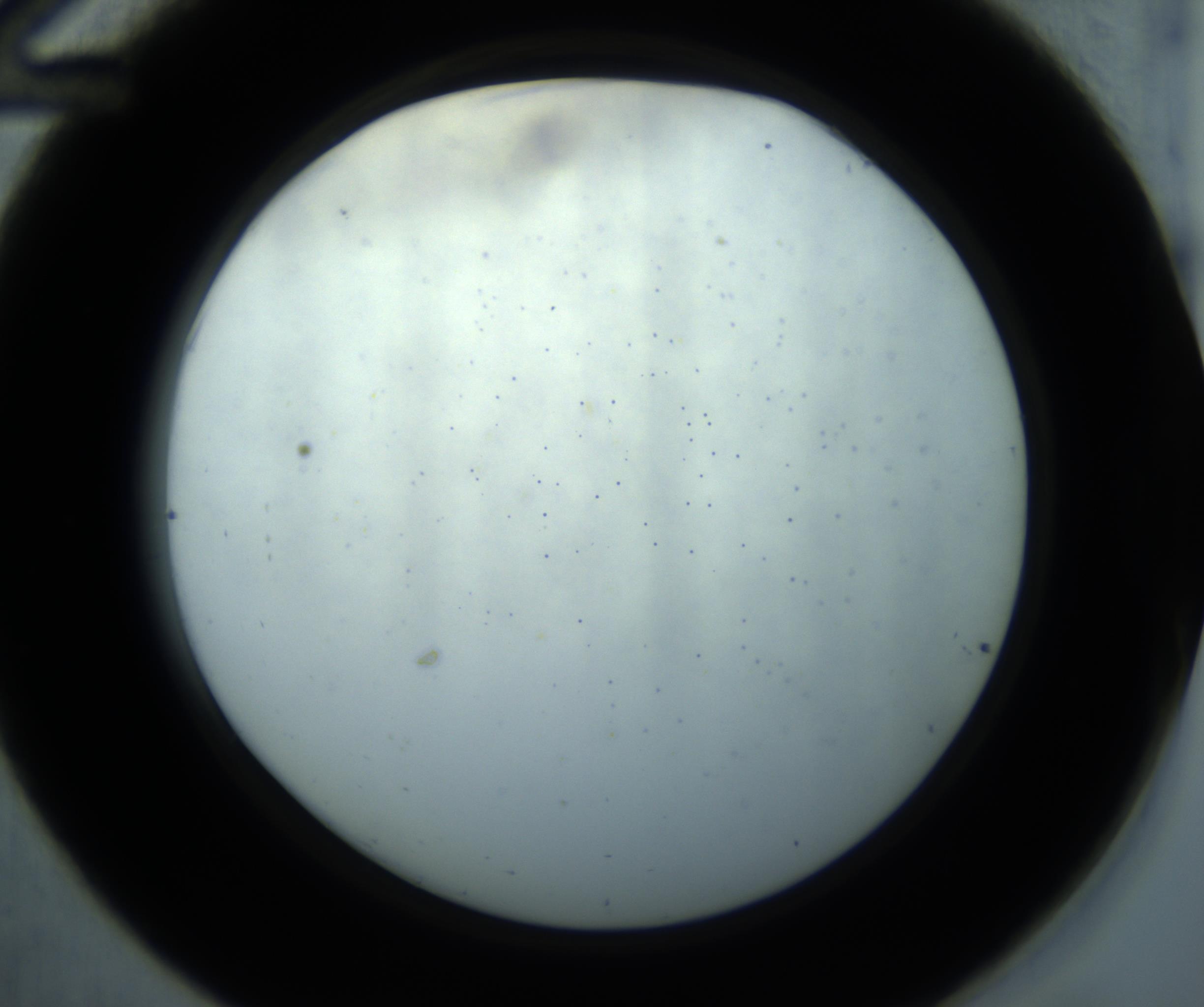 RI01_03_000_0212_Proj1_Clon1_MC_0000MC102869_001_161021_12_03_02_00_98_002_001_RAI.jpg