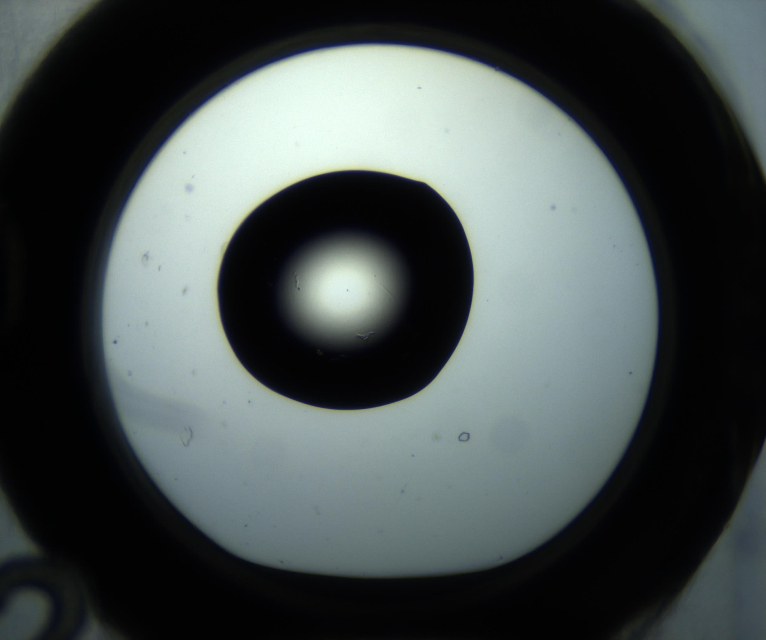 RI01_03_000_0212_Proj1_Clon1_MC_0000MC102869_001_161021_12_04_01_00_98_002_001_RAI.jpg
