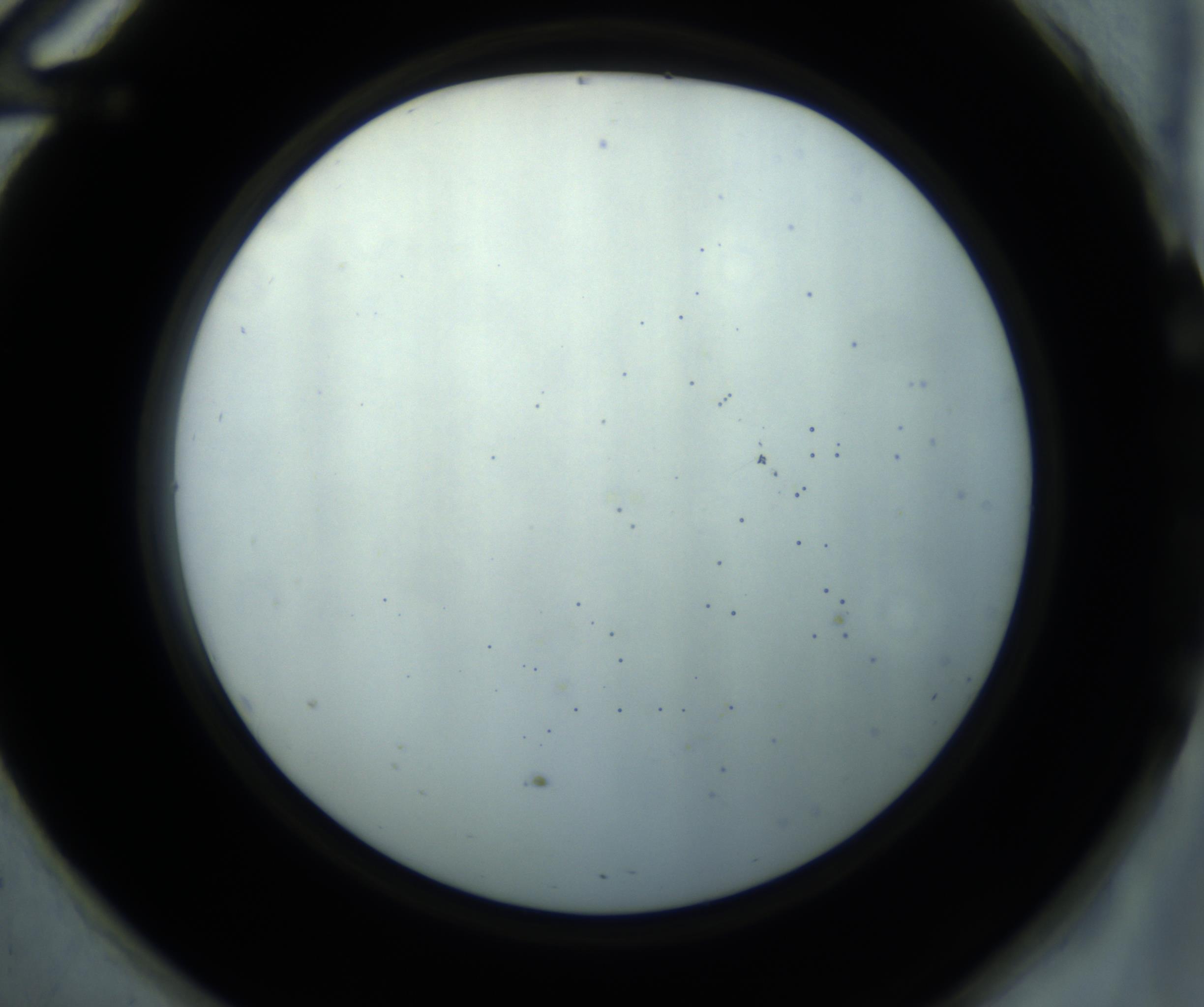 RI01_03_000_0212_Proj1_Clon1_MC_0000MC102869_001_161021_12_05_02_00_98_002_001_RAI.jpg