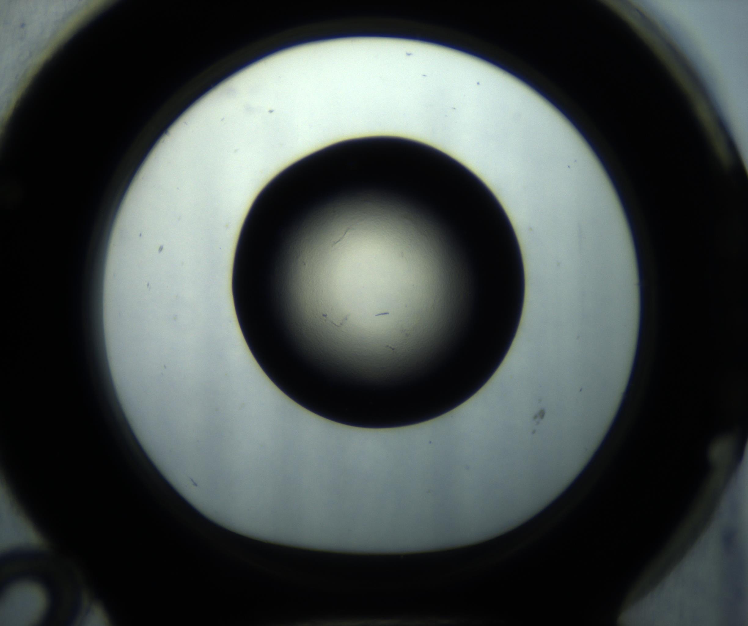 RI01_03_000_0212_Proj1_Clon1_MC_0000MC102869_001_161021_12_06_01_00_98_002_001_RAI.jpg