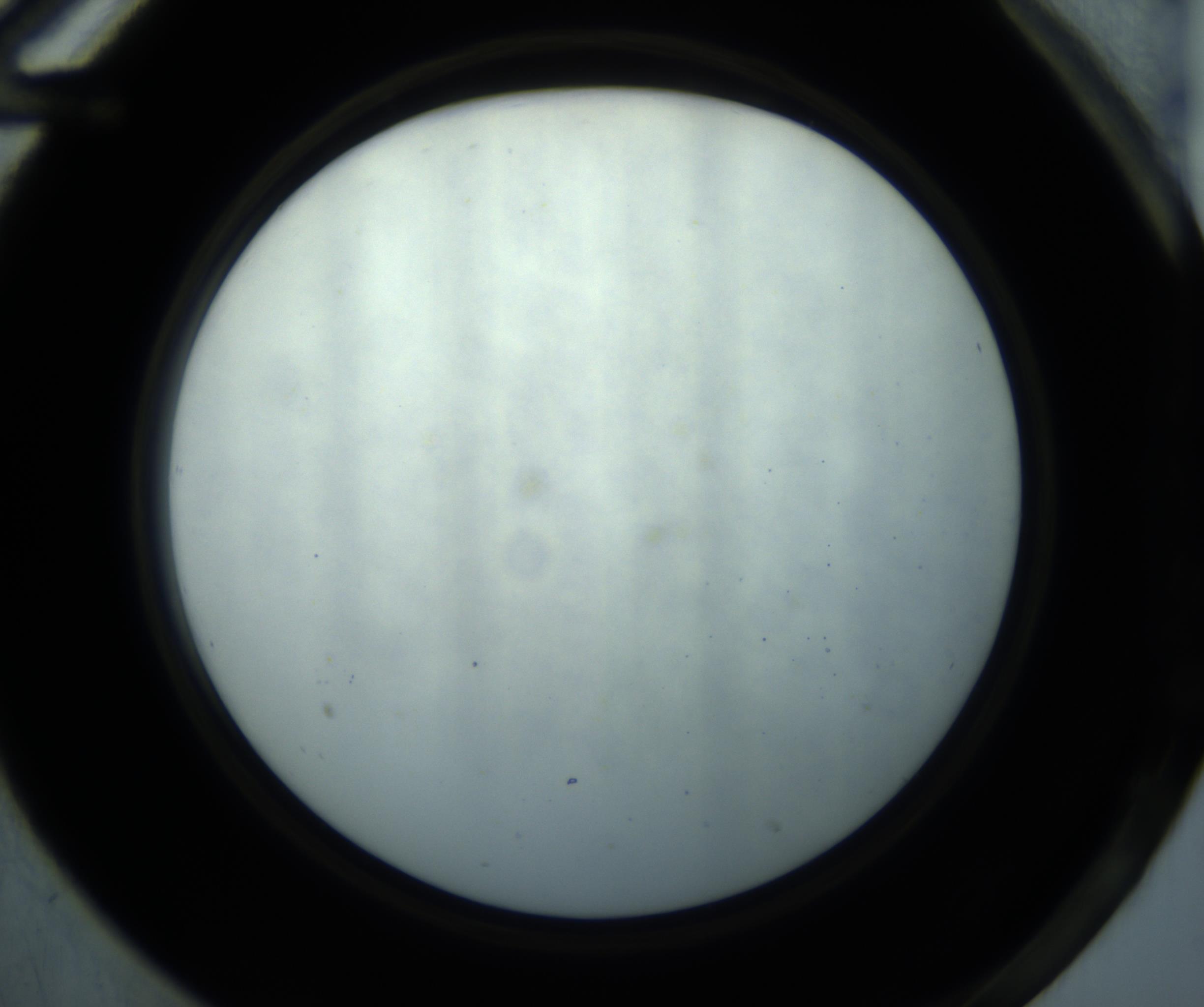 RI01_03_000_0212_Proj1_Clon1_MC_0000MC102869_001_161021_12_06_02_00_98_002_001_RAI.jpg