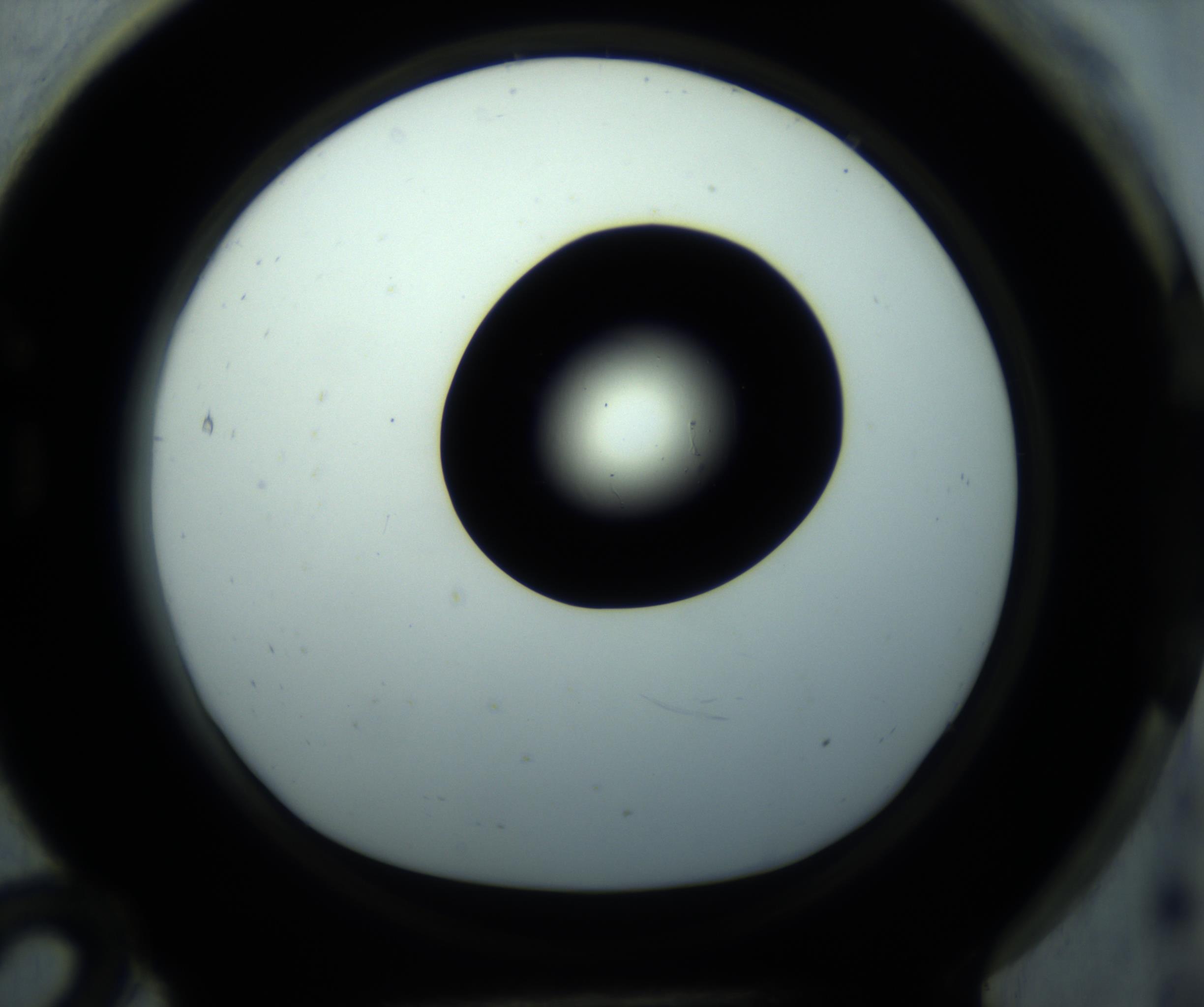 RI01_03_000_0212_Proj1_Clon1_MC_0000MC102869_001_161021_12_07_01_00_98_002_001_RAI.jpg