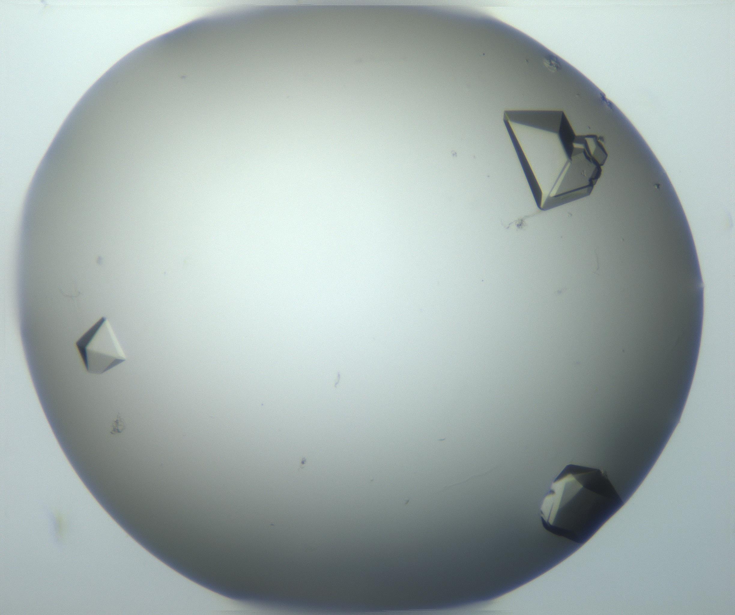 RI01_03_000_0212_Proj1_Clon1_MC_0000MC102869_007_161104_09_08_01_00_99_002_001_RAI.jpg