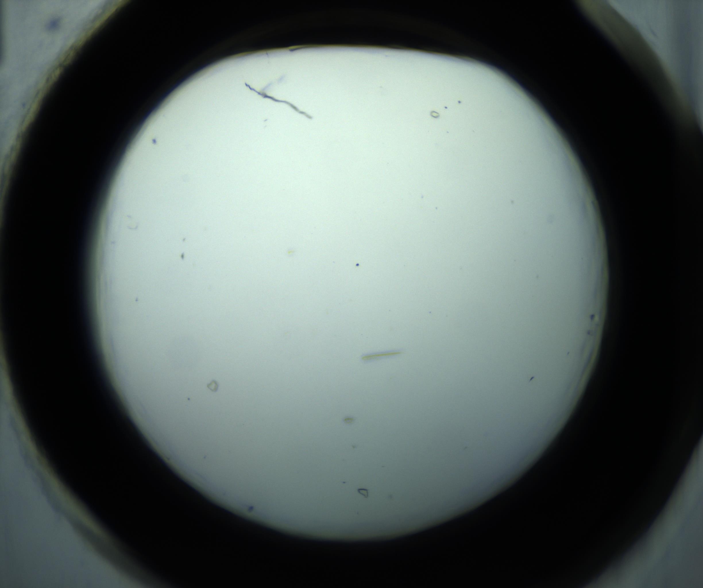 RI01_03_000_0212_Proj1_Clon1_MC_0000MC102869_010_161125_01_08_02_00_98_002_001_RAI.jpg