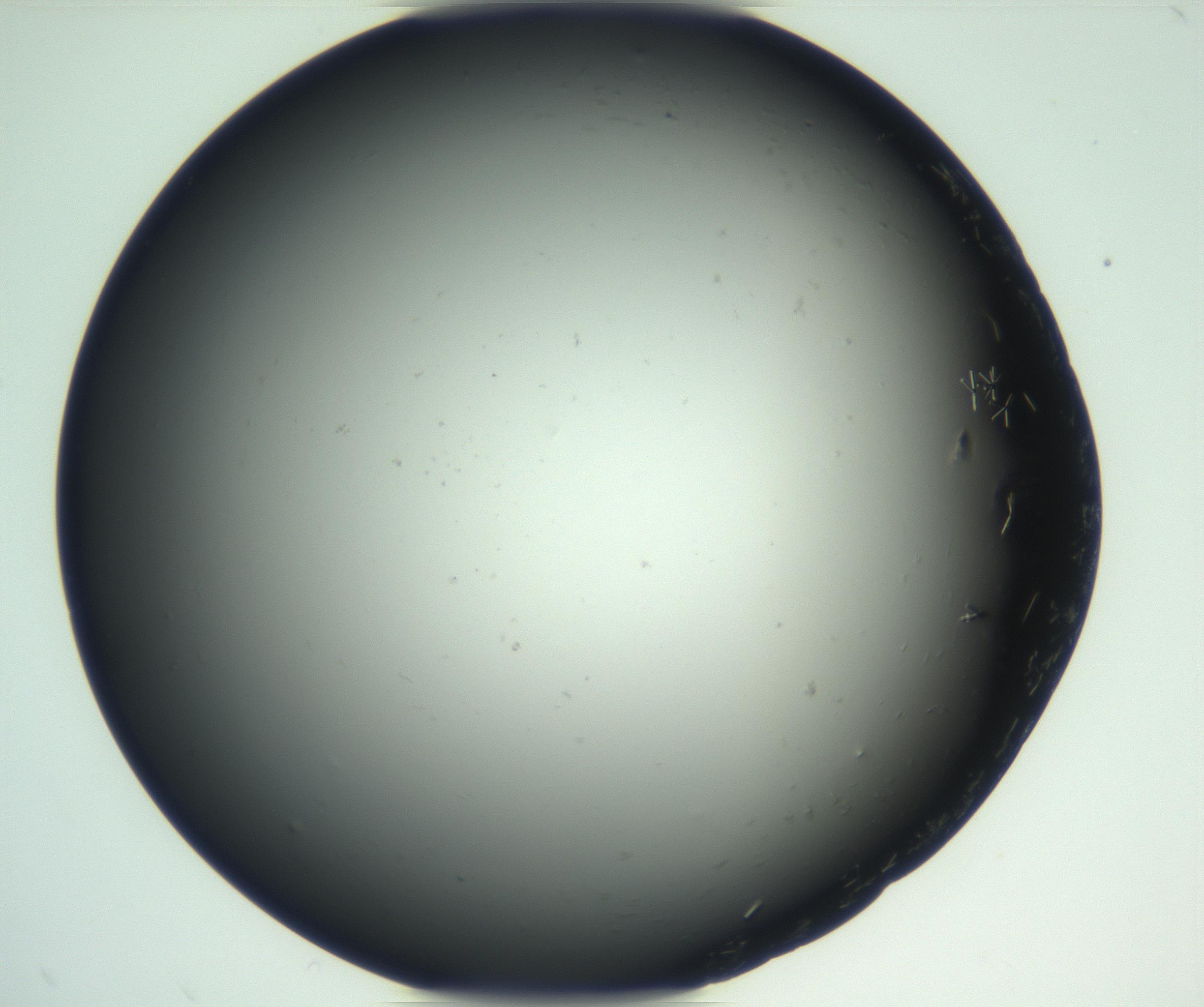 RI01_03_000_0212_Proj1_Clon1_MC_0000MC102870_003_161024_02_02_02_00_99_002_001_RAI.jpg