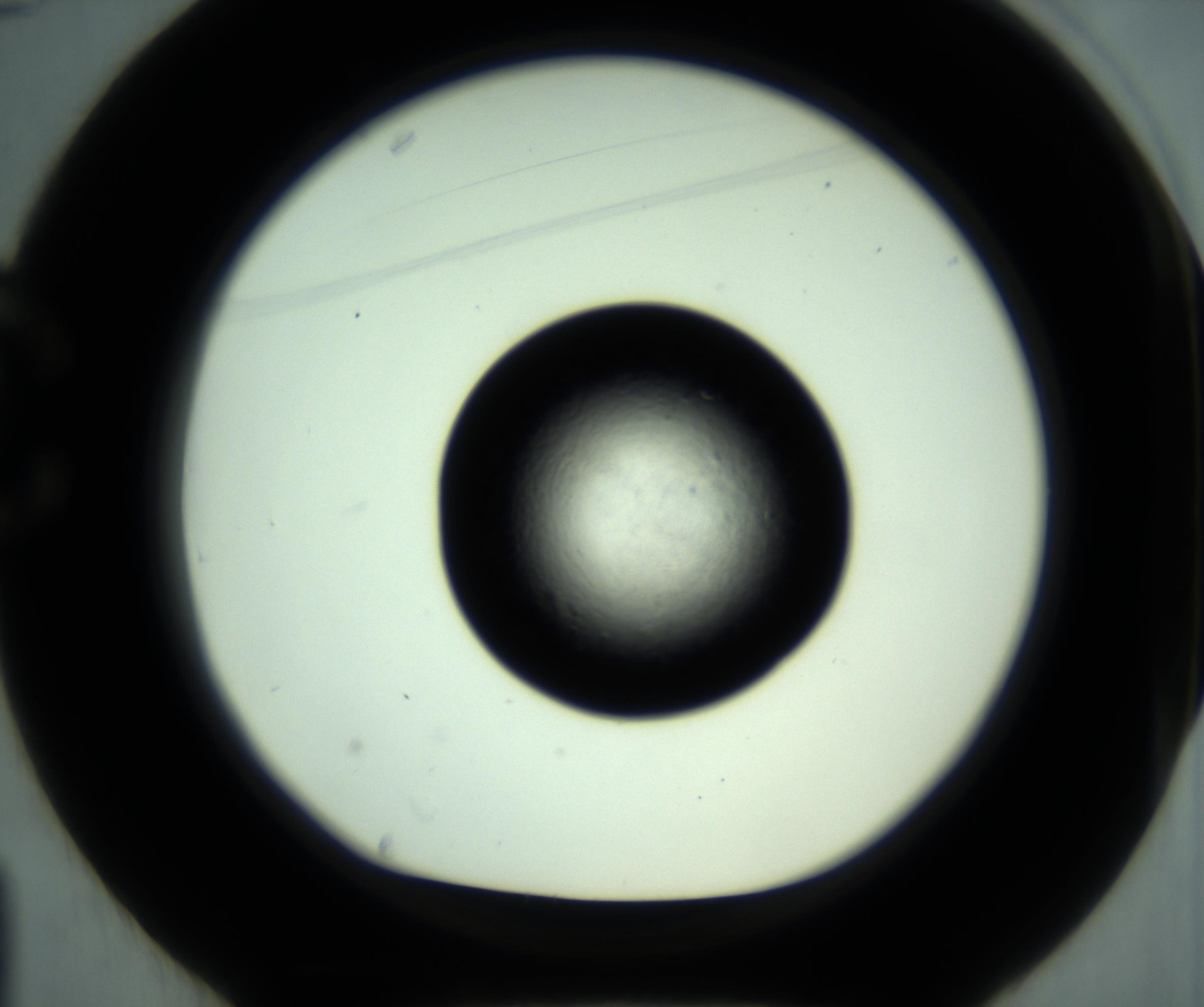 RI01_03_000_0212_Proj1_Clon1_MC_0000MC102880_001_161021_01_03_01_00_98_002_001_RAI.jpg