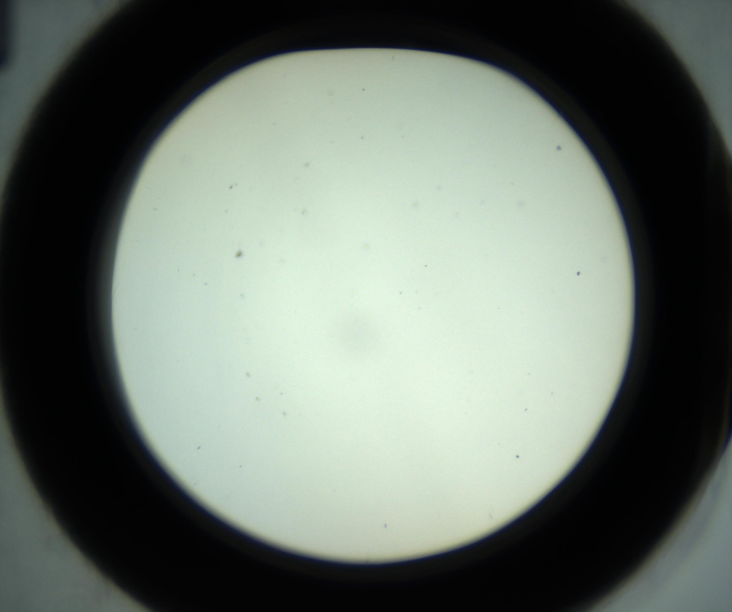 RI01_03_000_0212_Proj1_Clon1_MC_0000MC102880_001_161021_01_04_02_00_98_002_001_RAI.jpg