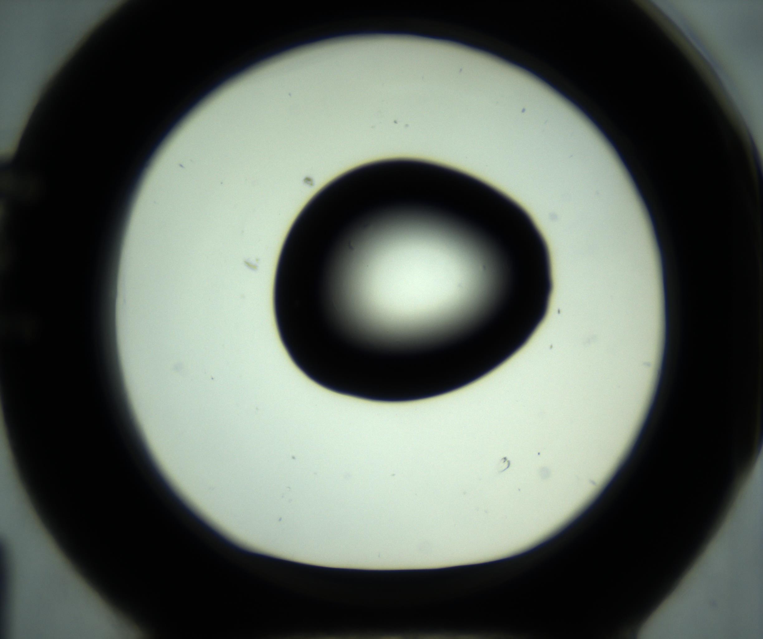 RI01_03_000_0212_Proj1_Clon1_MC_0000MC102880_001_161021_01_05_01_00_98_002_001_RAI.jpg