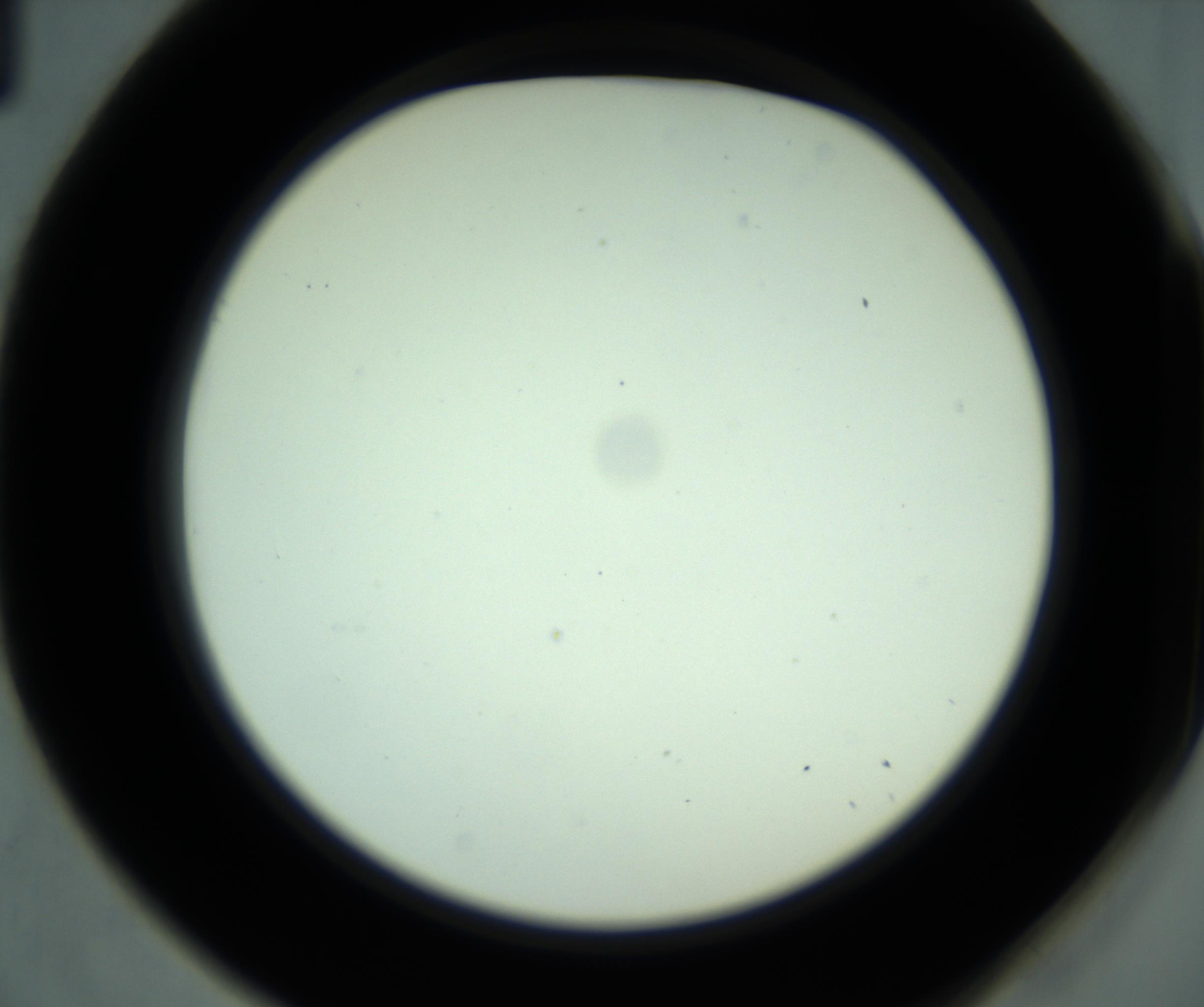 RI01_03_000_0212_Proj1_Clon1_MC_0000MC102880_001_161021_01_05_02_00_98_002_001_RAI.jpg