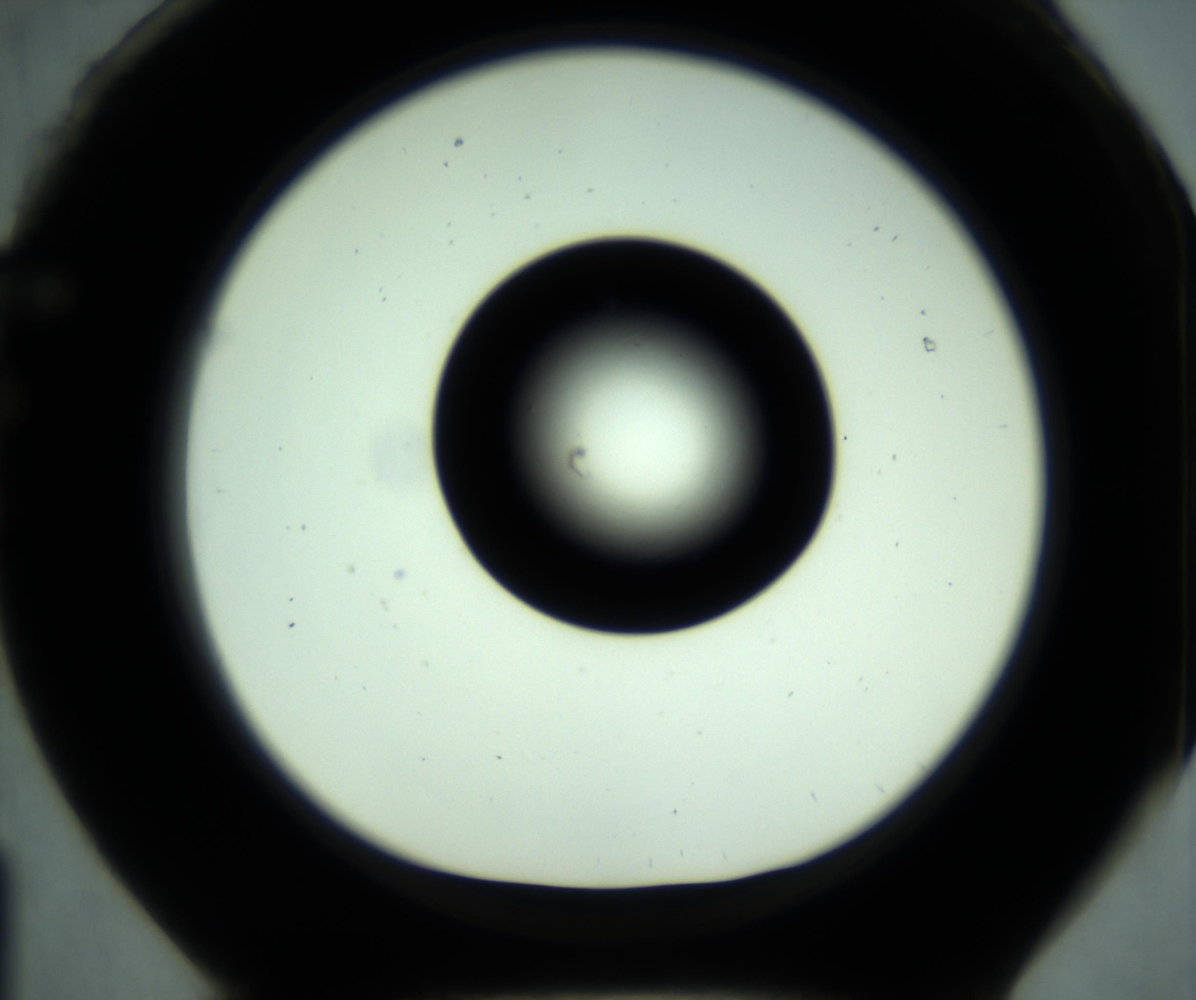 RI01_03_000_0212_Proj1_Clon1_MC_0000MC102880_001_161021_01_06_01_00_98_002_001_RAI.jpg