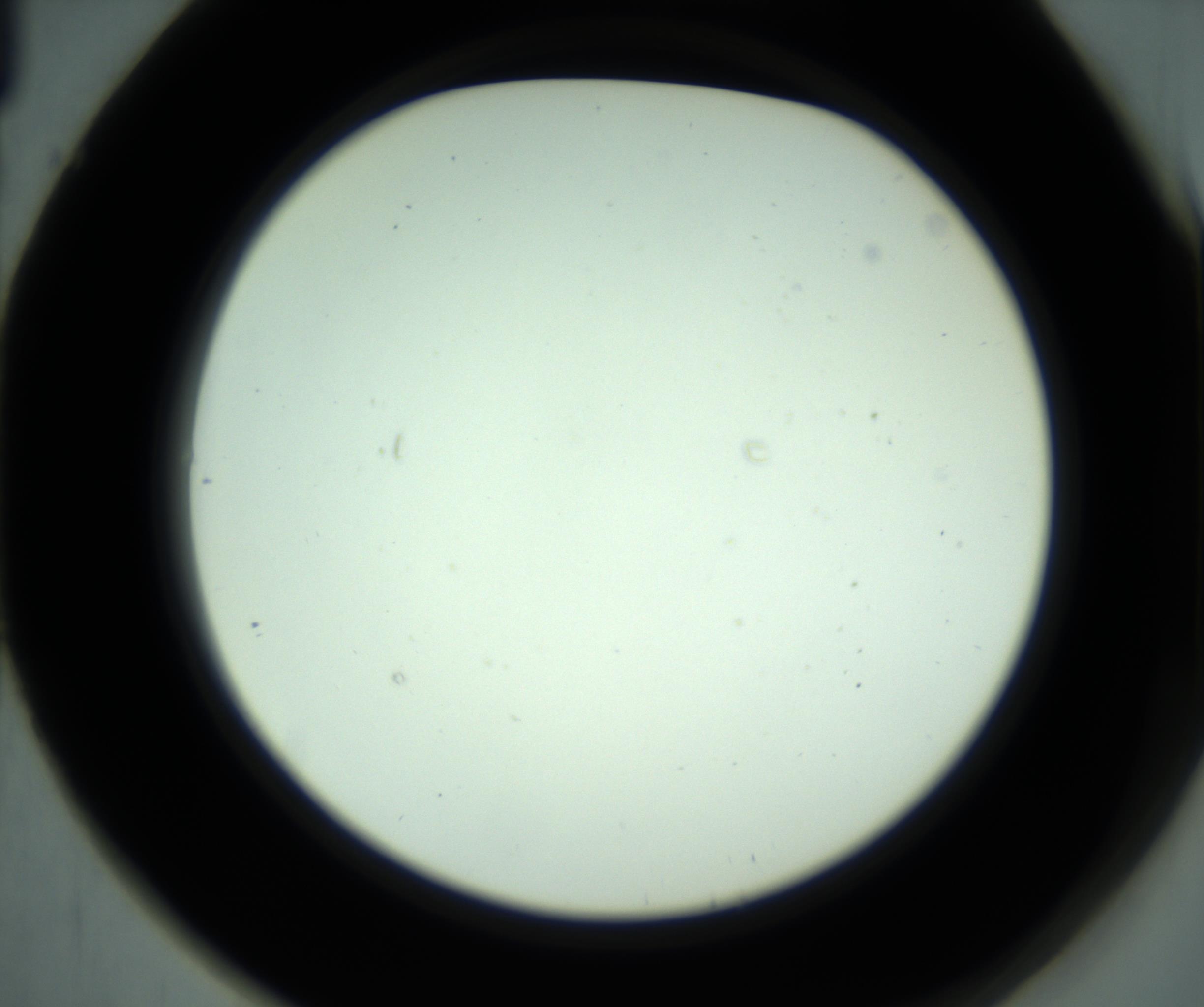 RI01_03_000_0212_Proj1_Clon1_MC_0000MC102880_001_161021_01_06_02_00_98_002_001_RAI.jpg