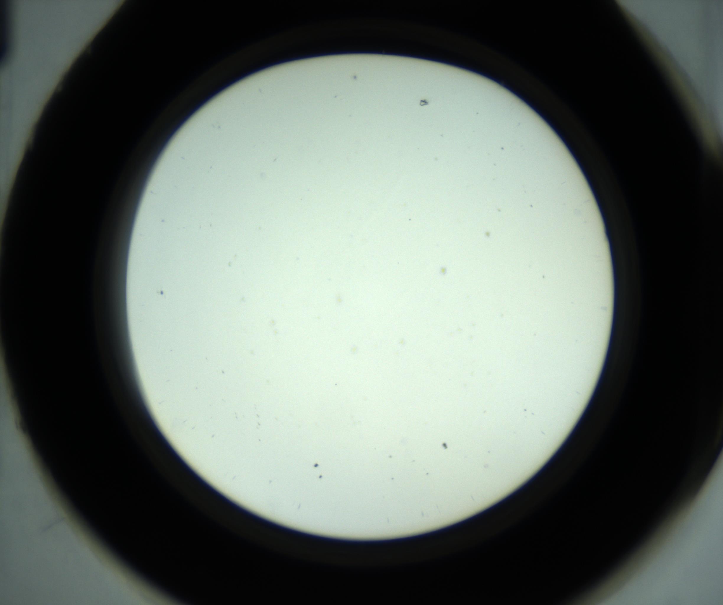 RI01_03_000_0212_Proj1_Clon1_MC_0000MC102880_001_161021_01_07_02_00_98_002_001_RAI.jpg