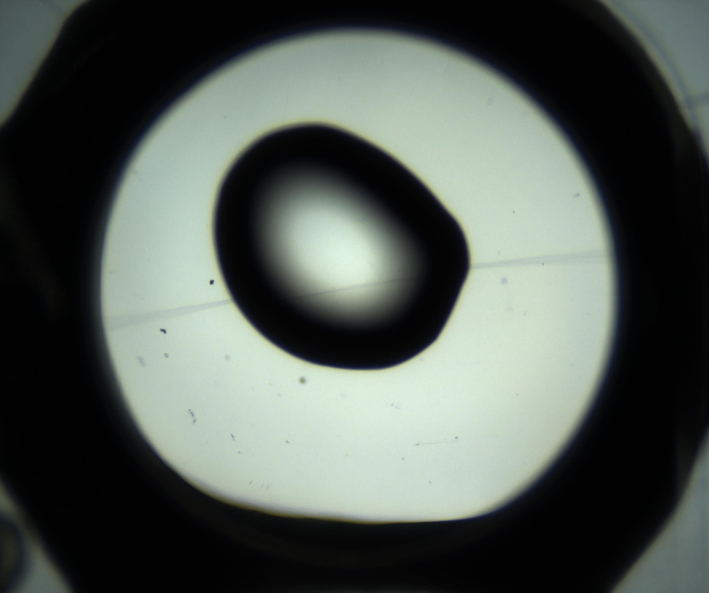 RI01_03_000_0212_Proj1_Clon1_MC_0000MC102880_001_161021_02_01_01_00_98_002_001_RAI.jpg