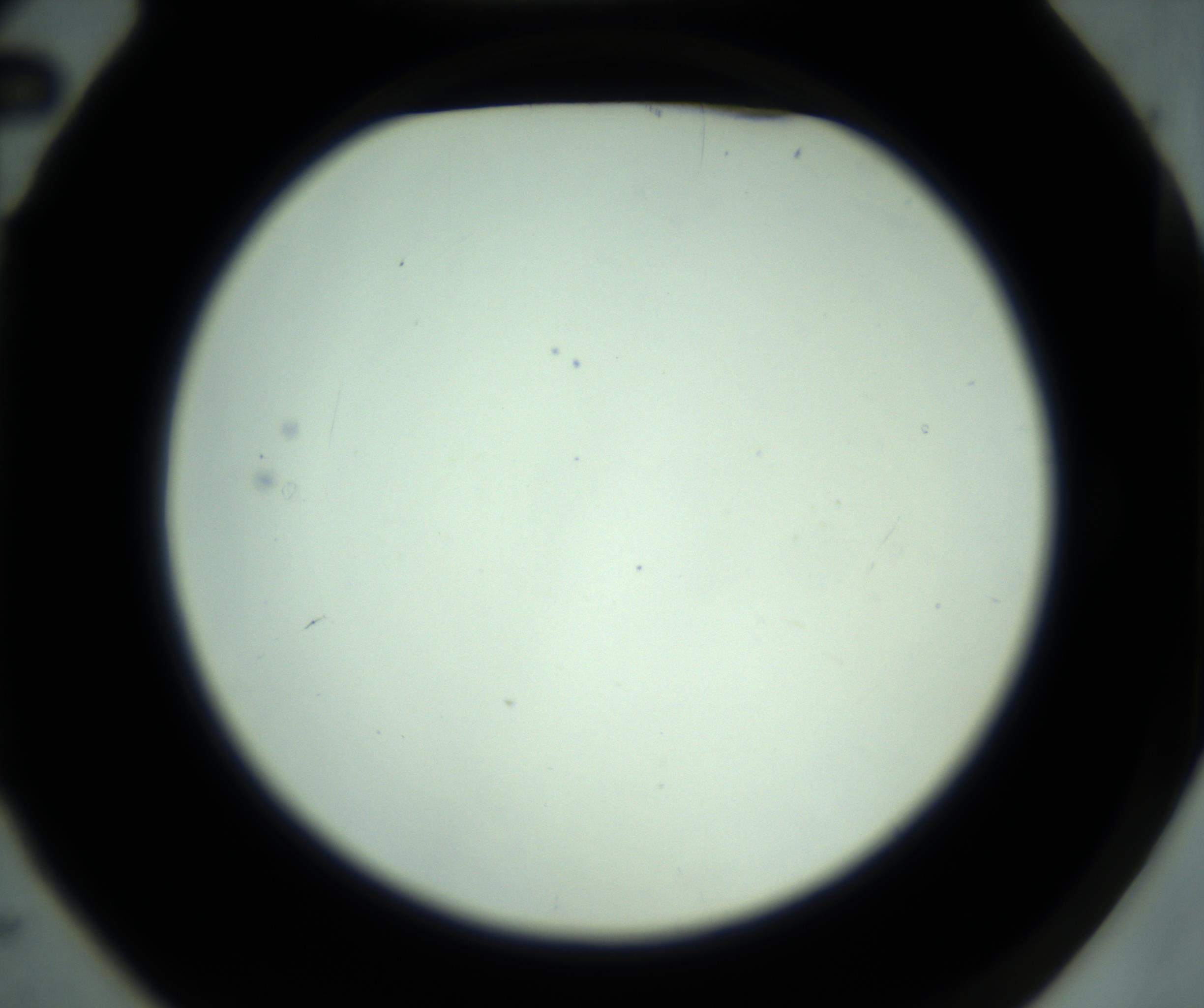 RI01_03_000_0212_Proj1_Clon1_MC_0000MC102880_001_161021_02_01_02_00_98_002_001_RAI.jpg