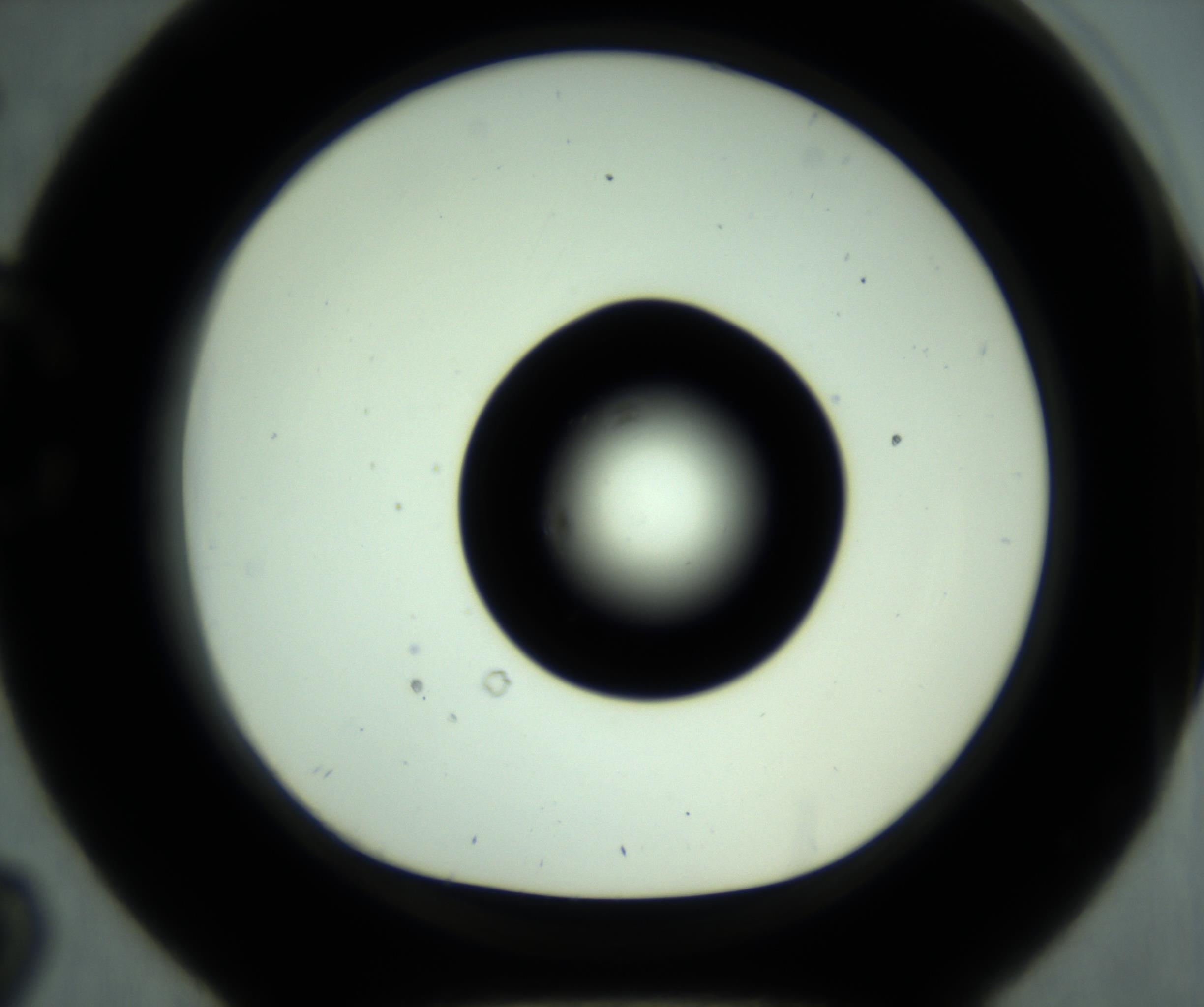 RI01_03_000_0212_Proj1_Clon1_MC_0000MC102880_001_161021_02_03_01_00_98_002_001_RAI.jpg