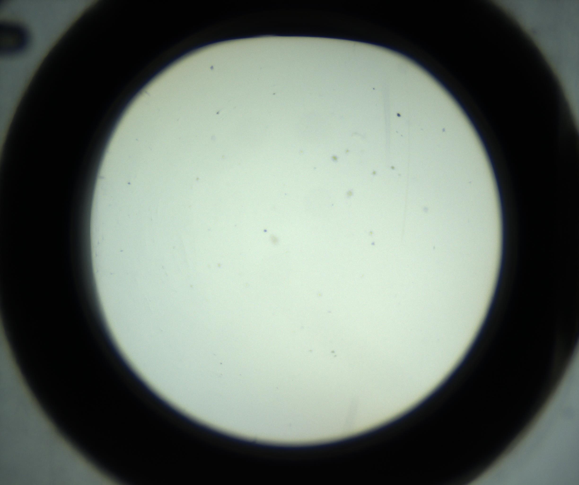RI01_03_000_0212_Proj1_Clon1_MC_0000MC102880_001_161021_02_03_02_00_98_002_001_RAI.jpg