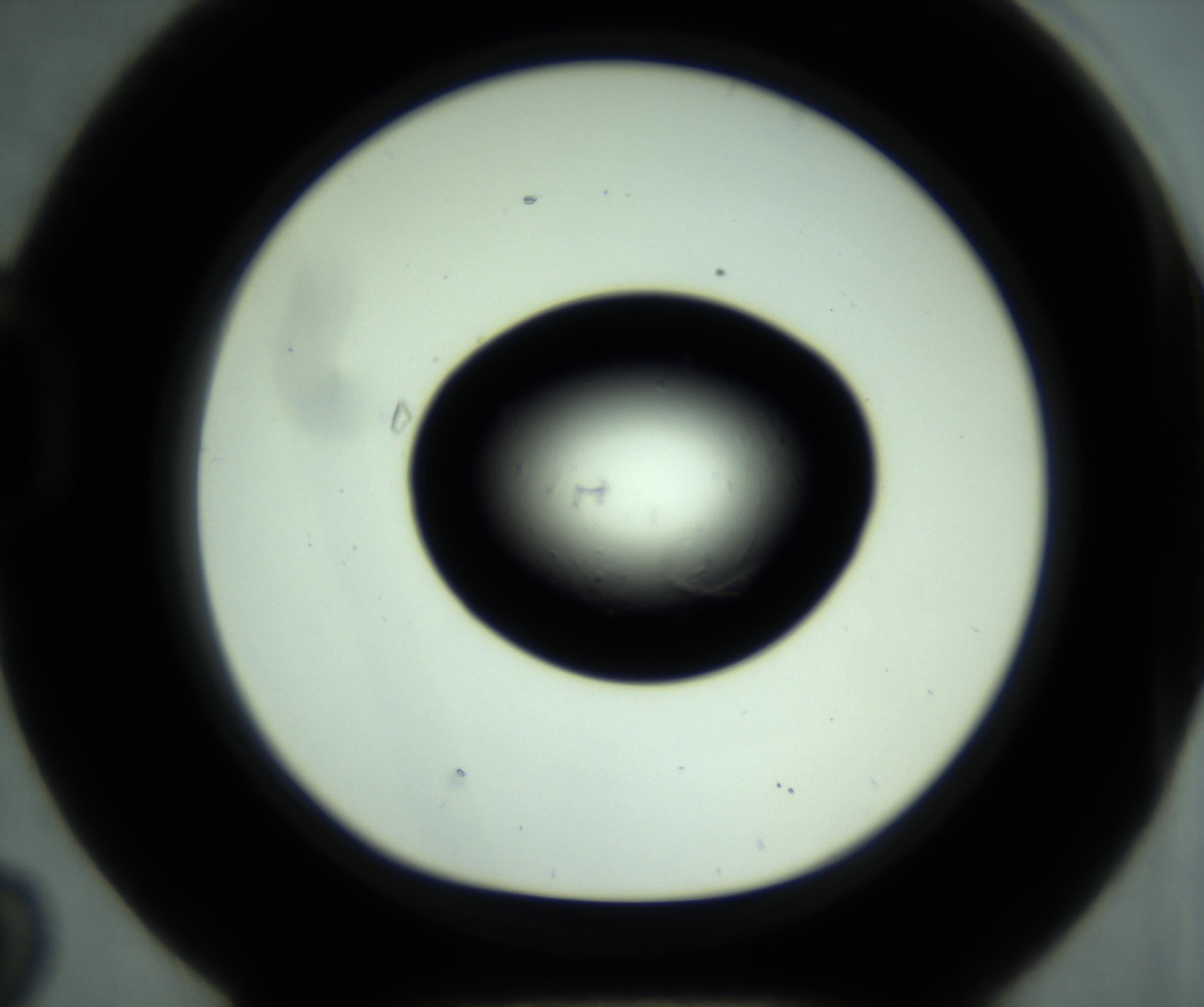 RI01_03_000_0212_Proj1_Clon1_MC_0000MC102880_001_161021_02_04_01_00_98_002_001_RAI.jpg